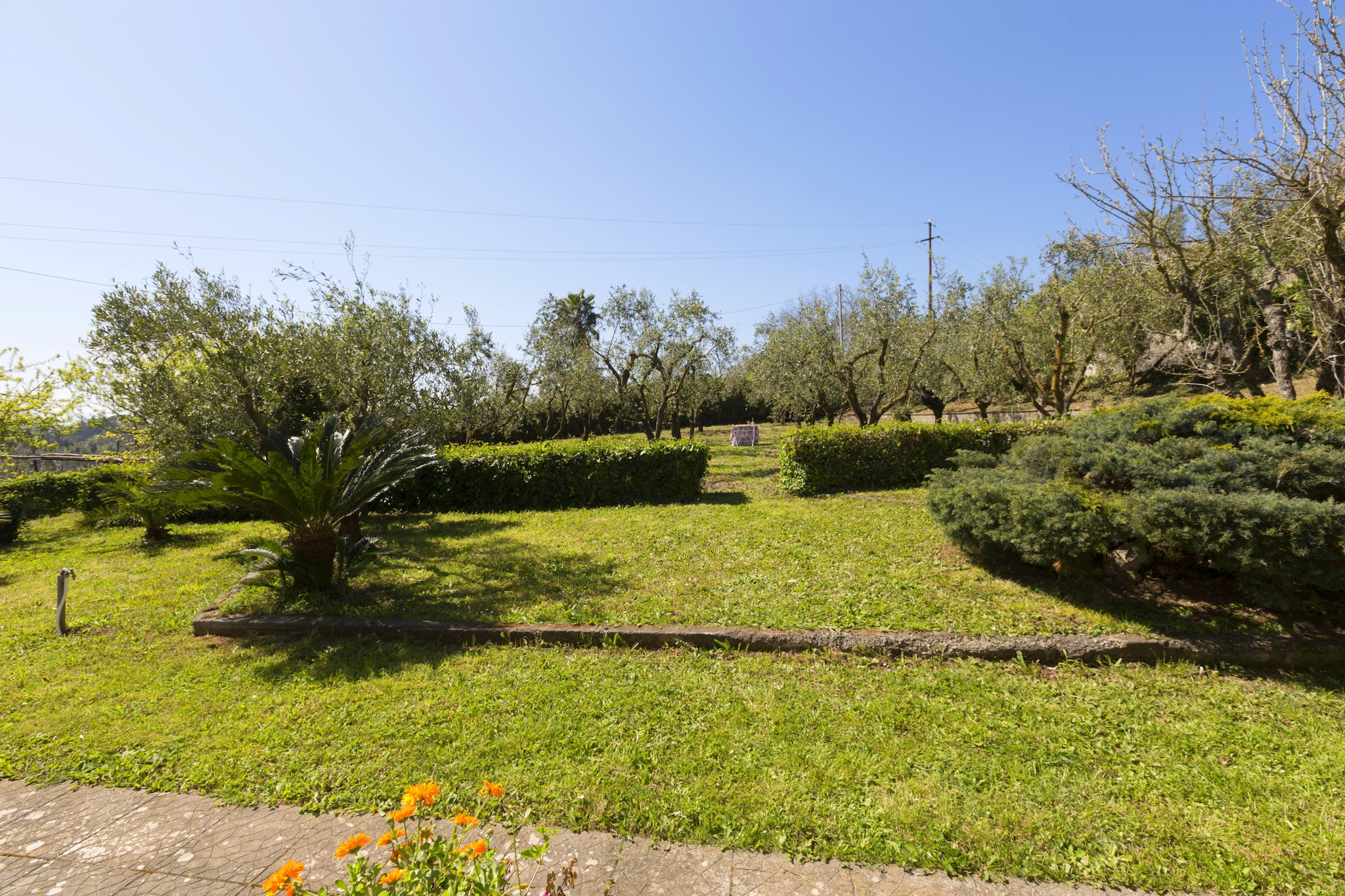Estate4home - Villa Corinna-Outdoor