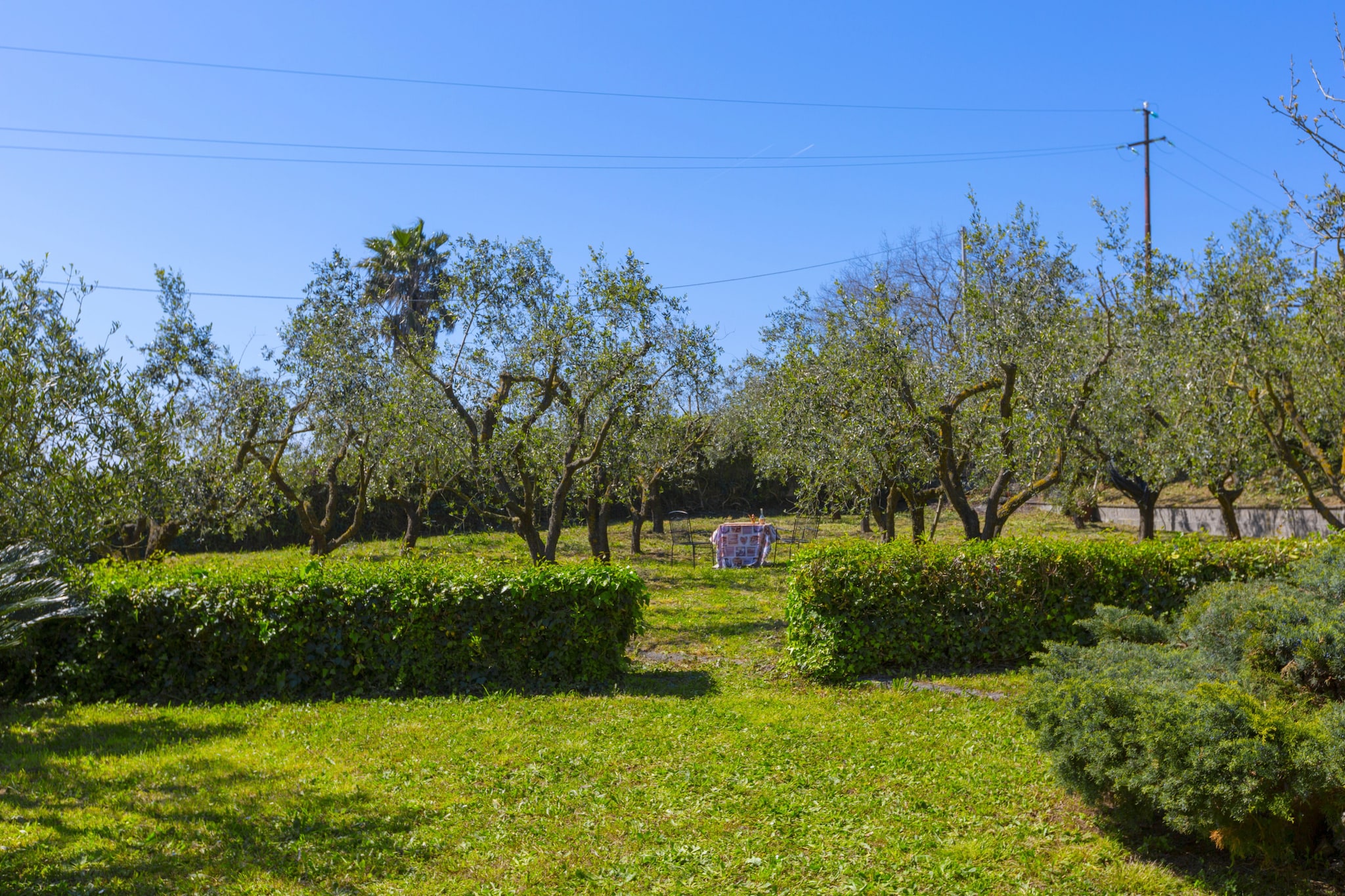 Estate4home - Villa Corinna-Gardens summer