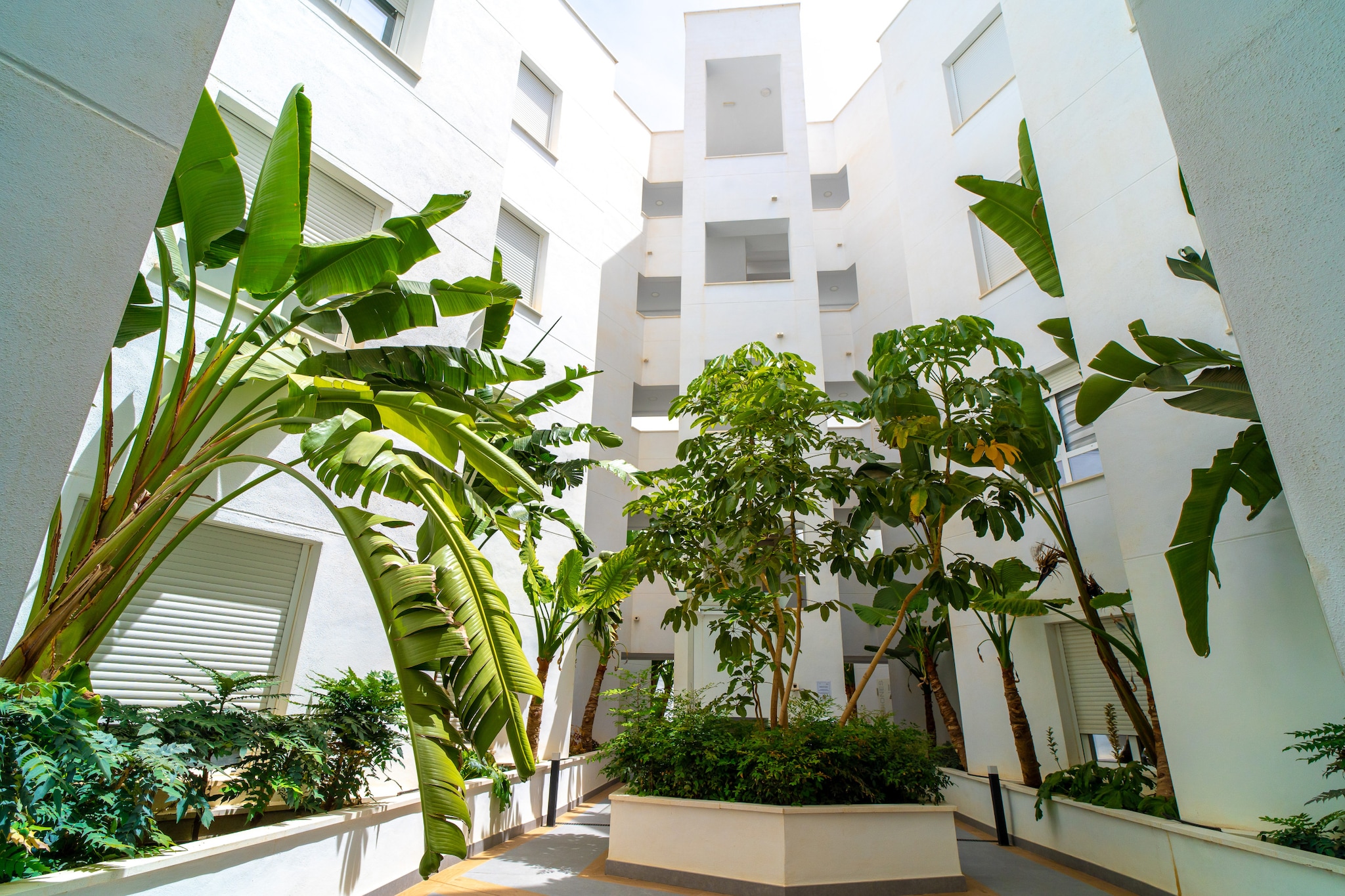 Luxury Living Isea 3114 by Casasol-Extérieur
