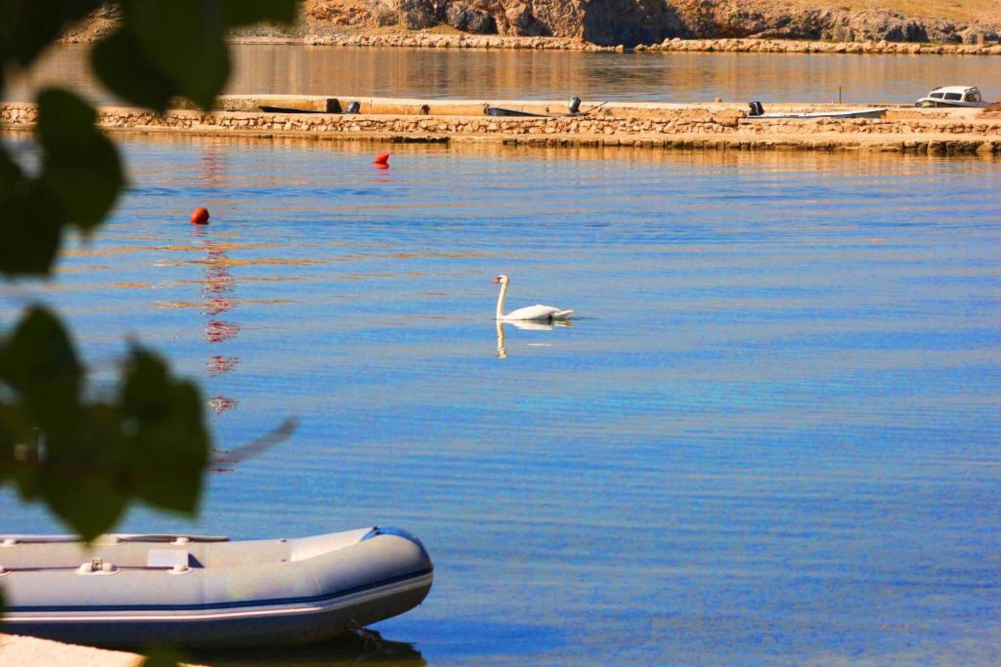 Apartments Dubravica - studio apartment-Gebieden zomer 5km