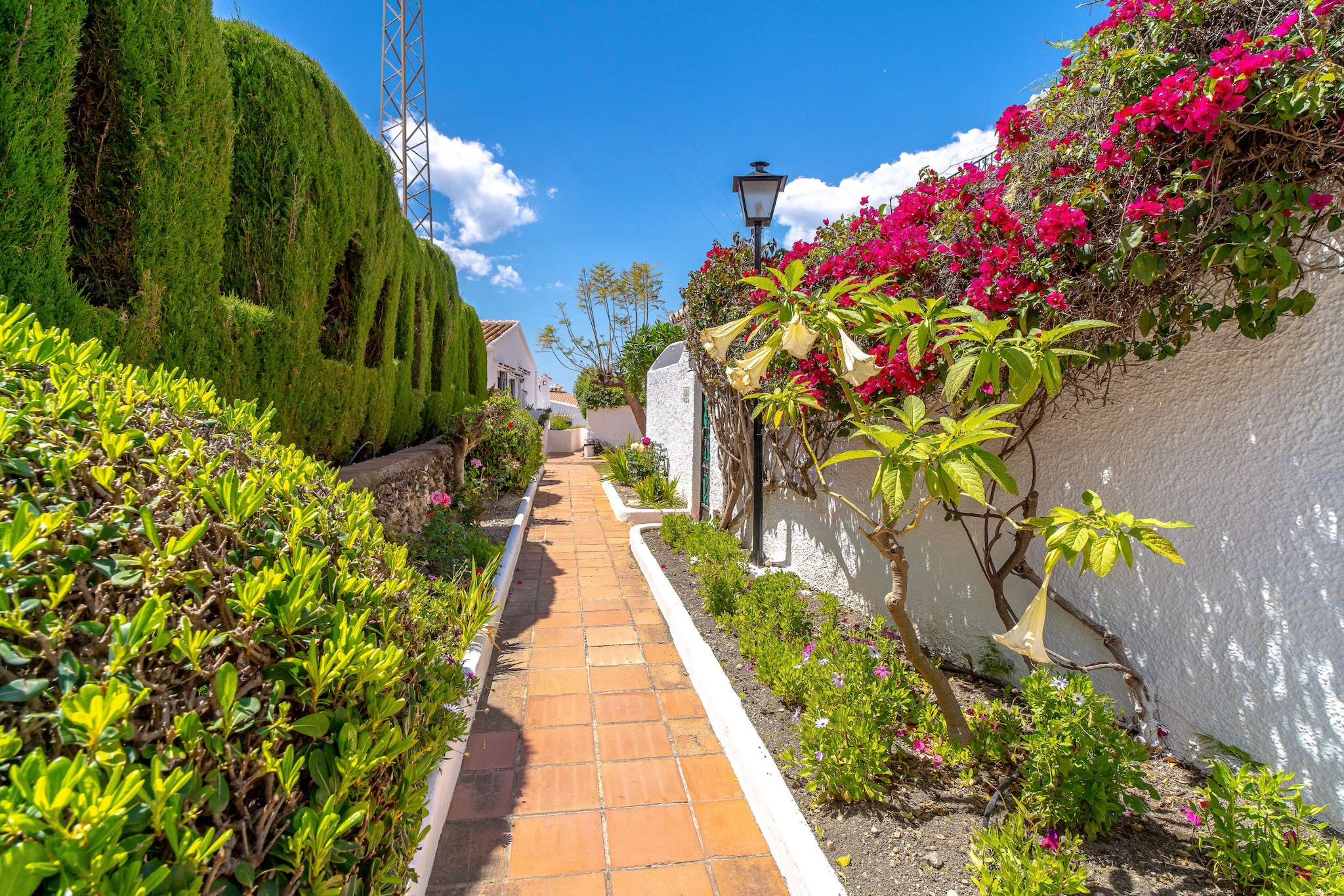 Capistrano Village Garden by Casasol-Areas summer 1km