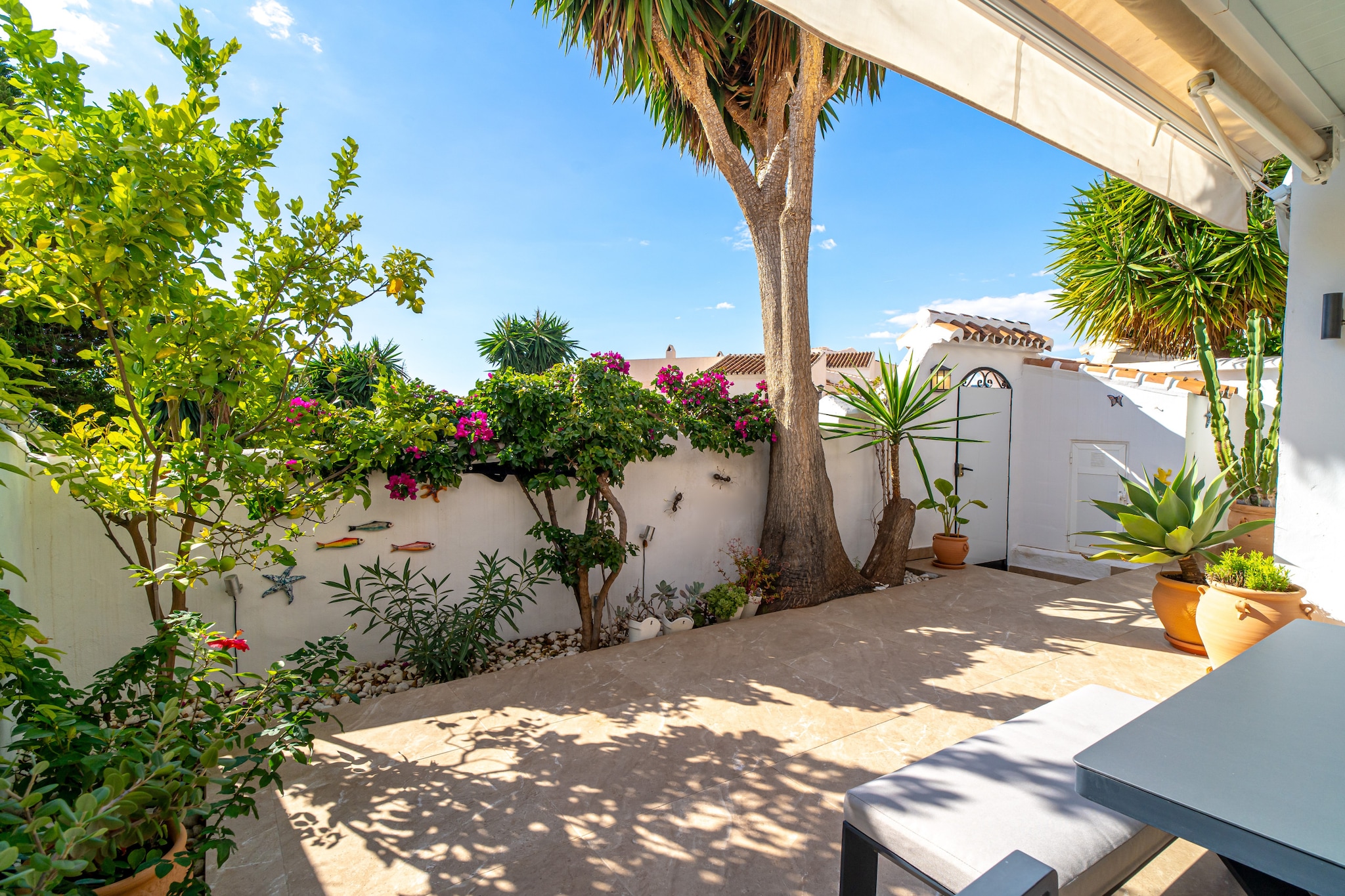 Capuchinos 46 San Juan Capistrano by Casasol-Terrasse