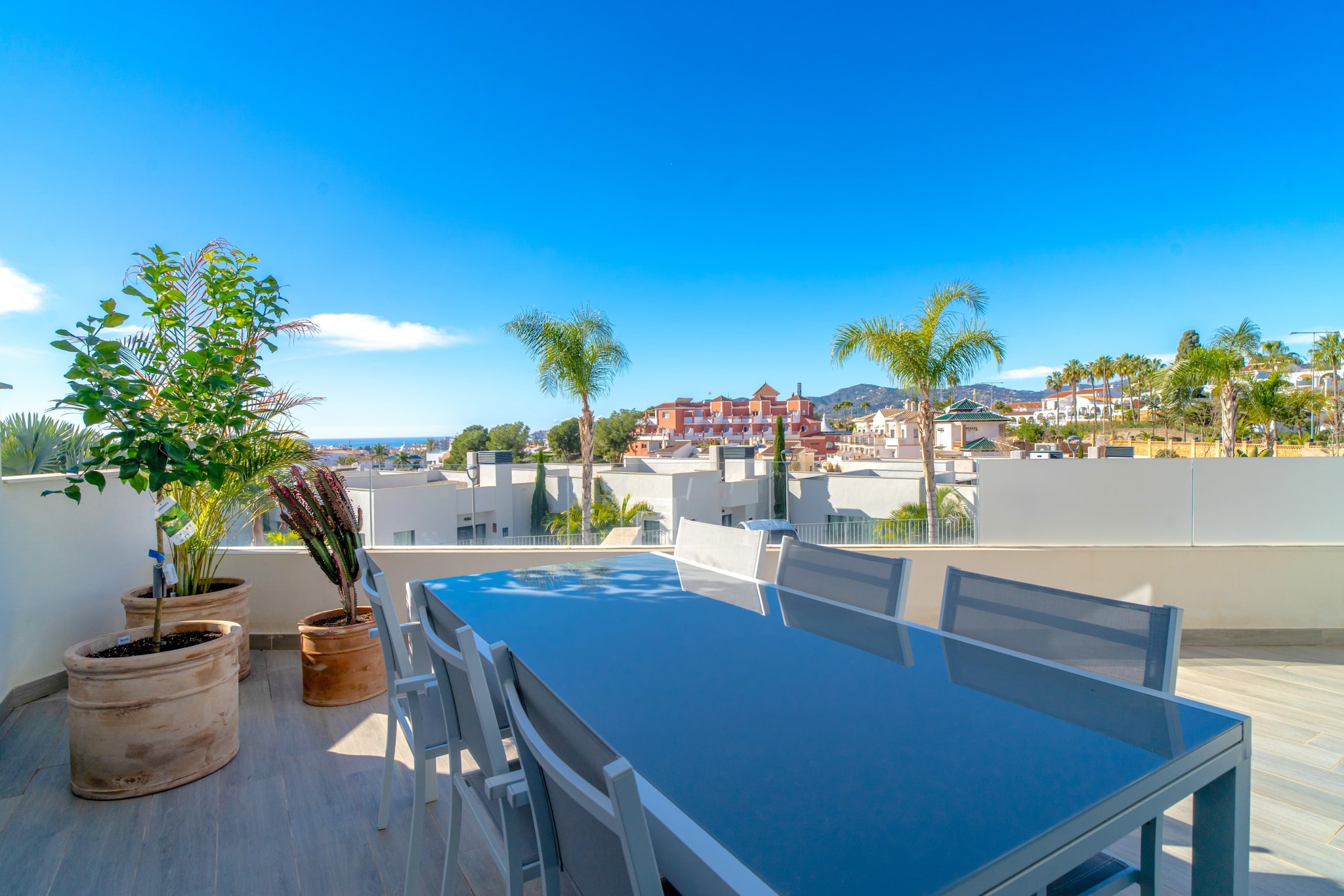 Royal Palm Luxe by Casasol-Terrasse