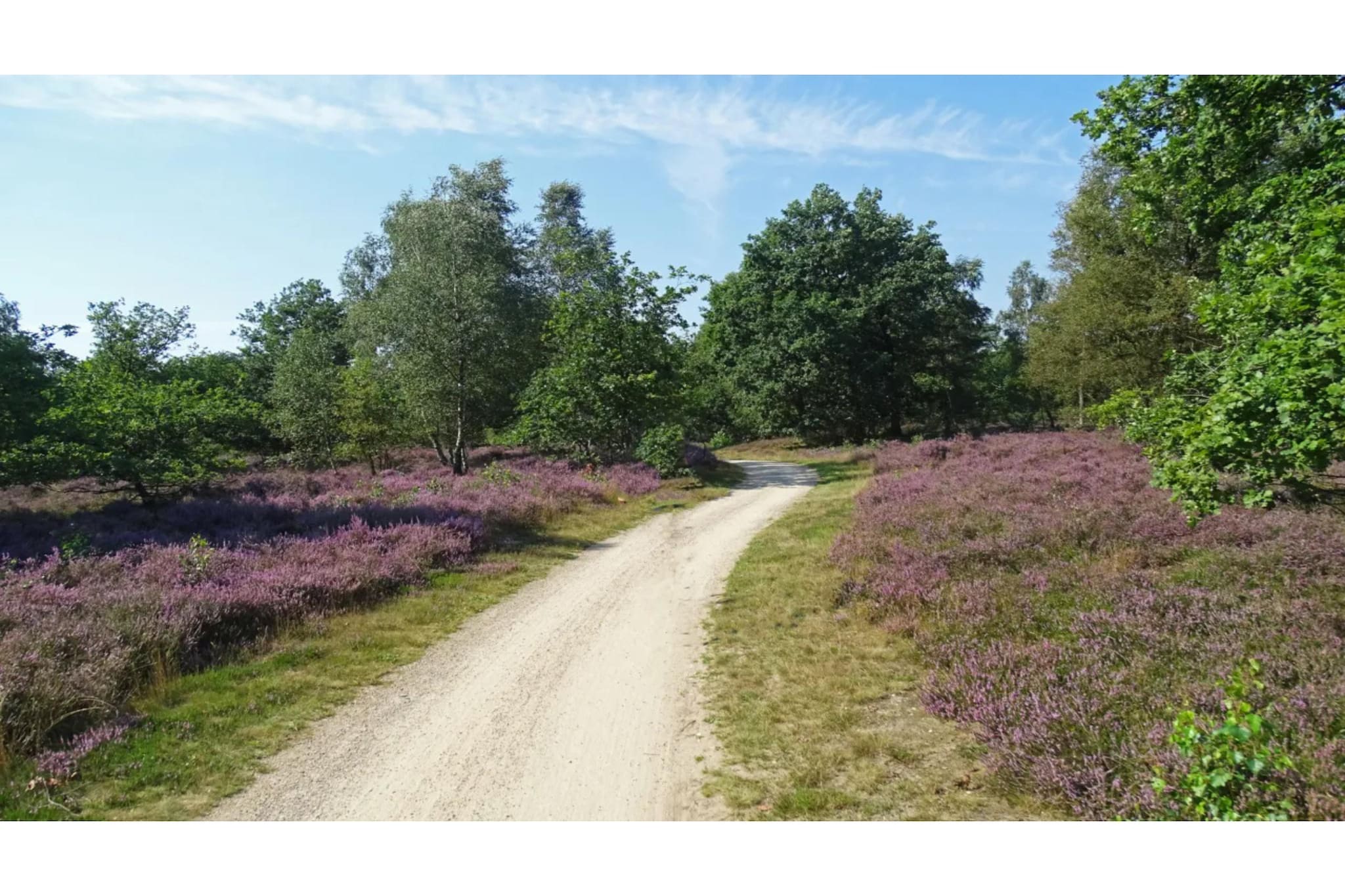 6-persoons luxe bosvilla Casa Madeira-Gebieden zomer 1km