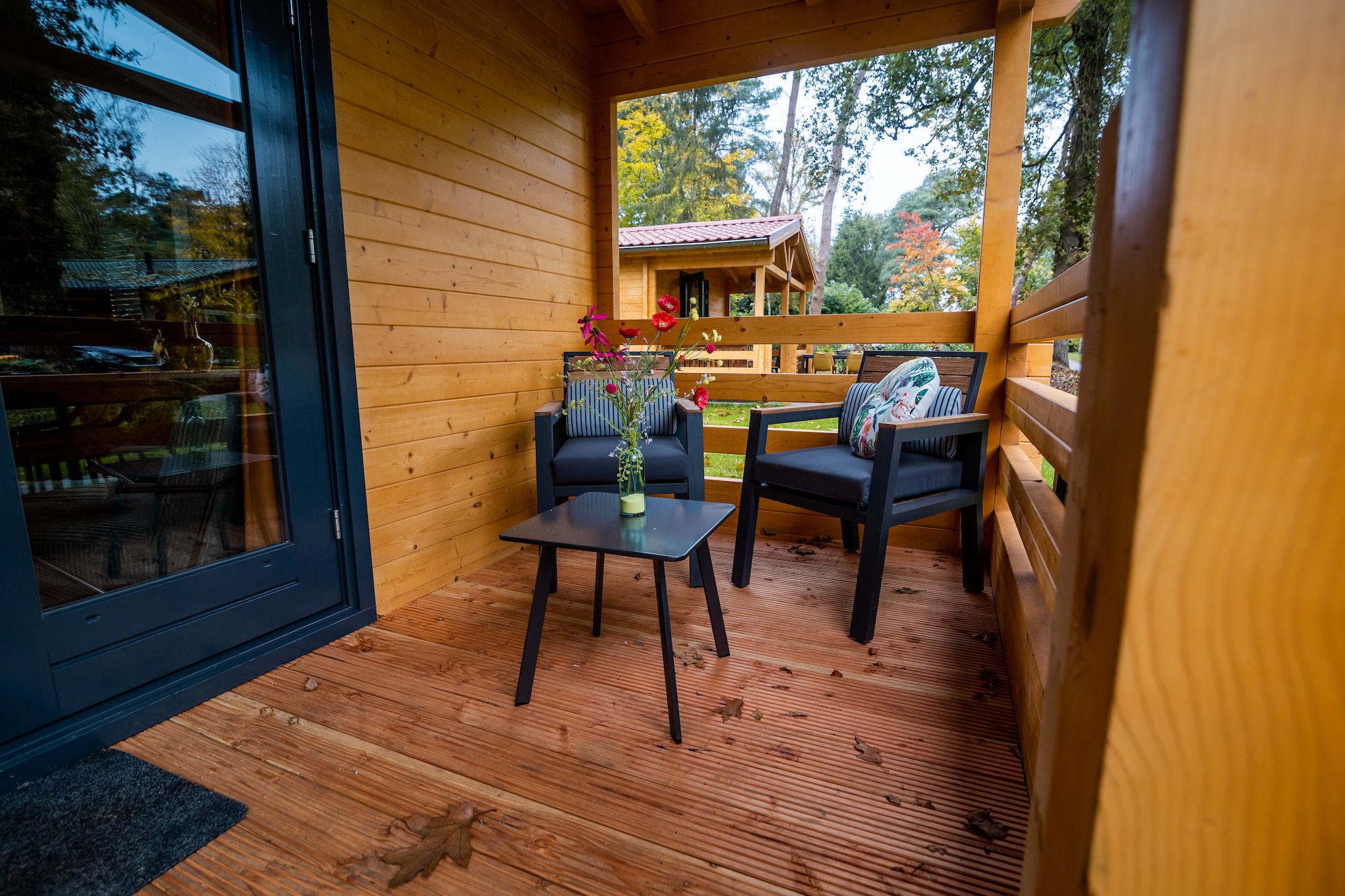4-persoons wellness lodge-Terrasbalkon
