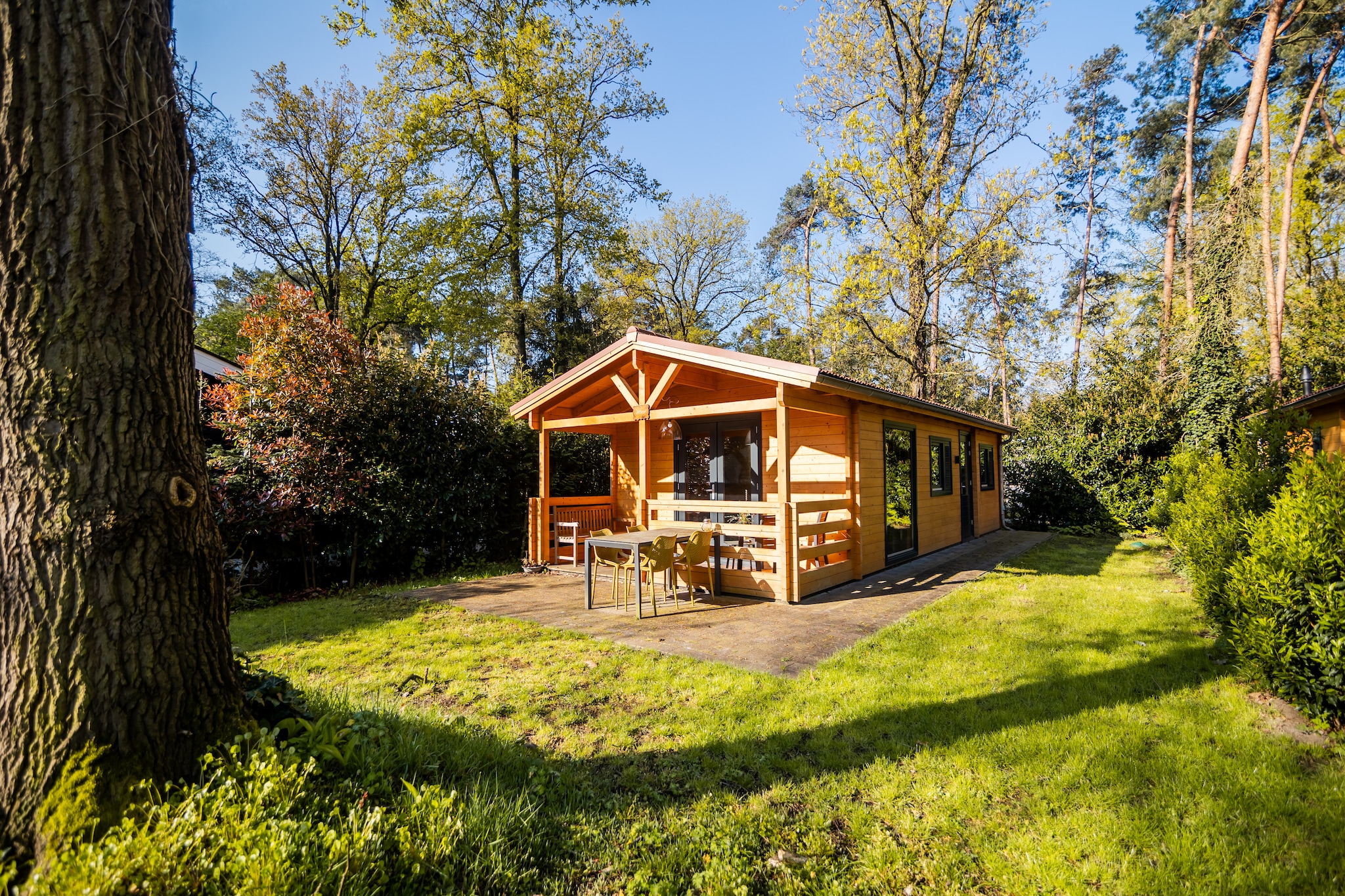 4-persoons wellness lodge-Tuinen zomer
