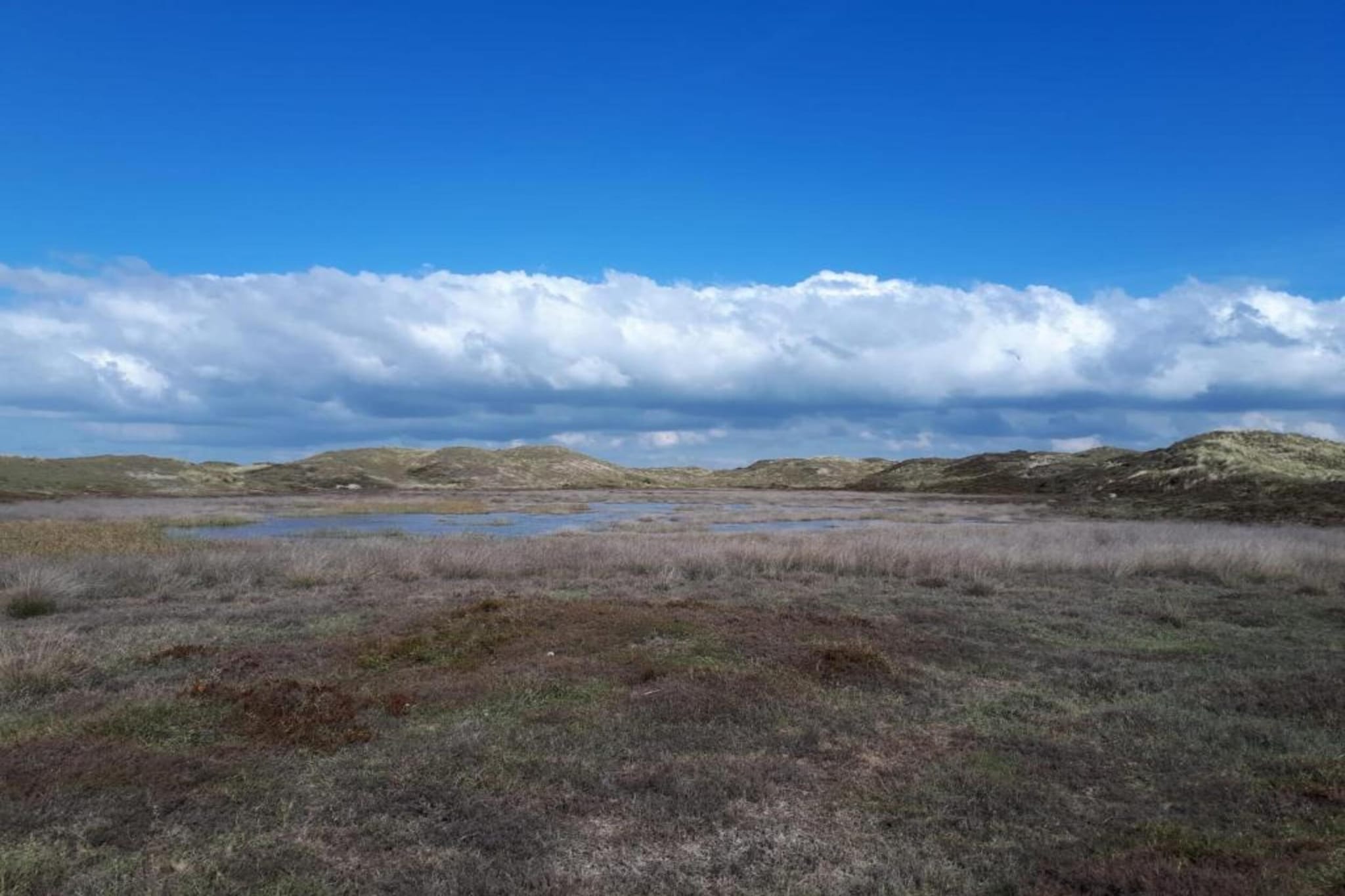 Belkmerduinen 31-Gebieden zomer 5km
