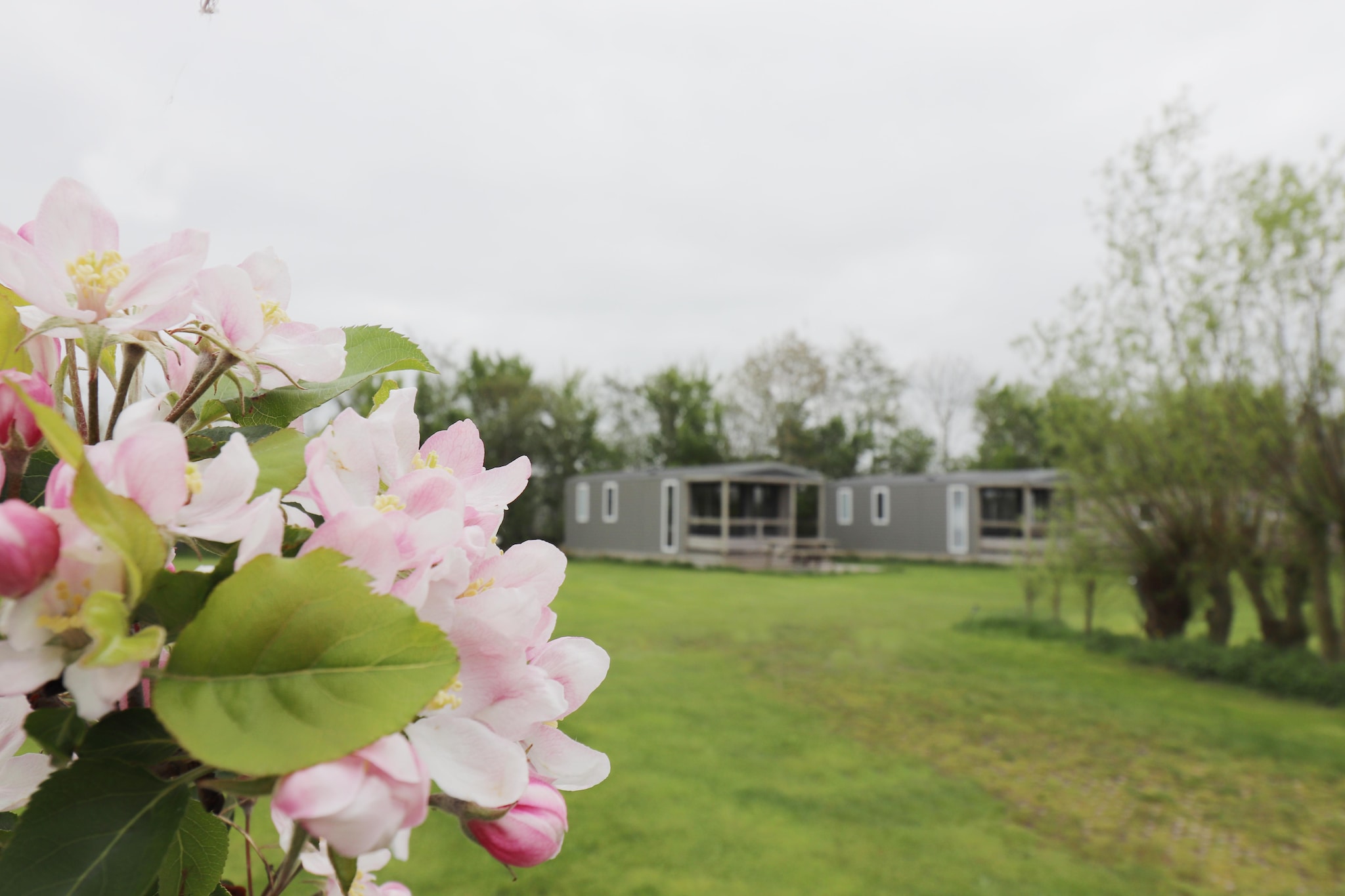 Cosy cabin 2-Buitenkant zomer