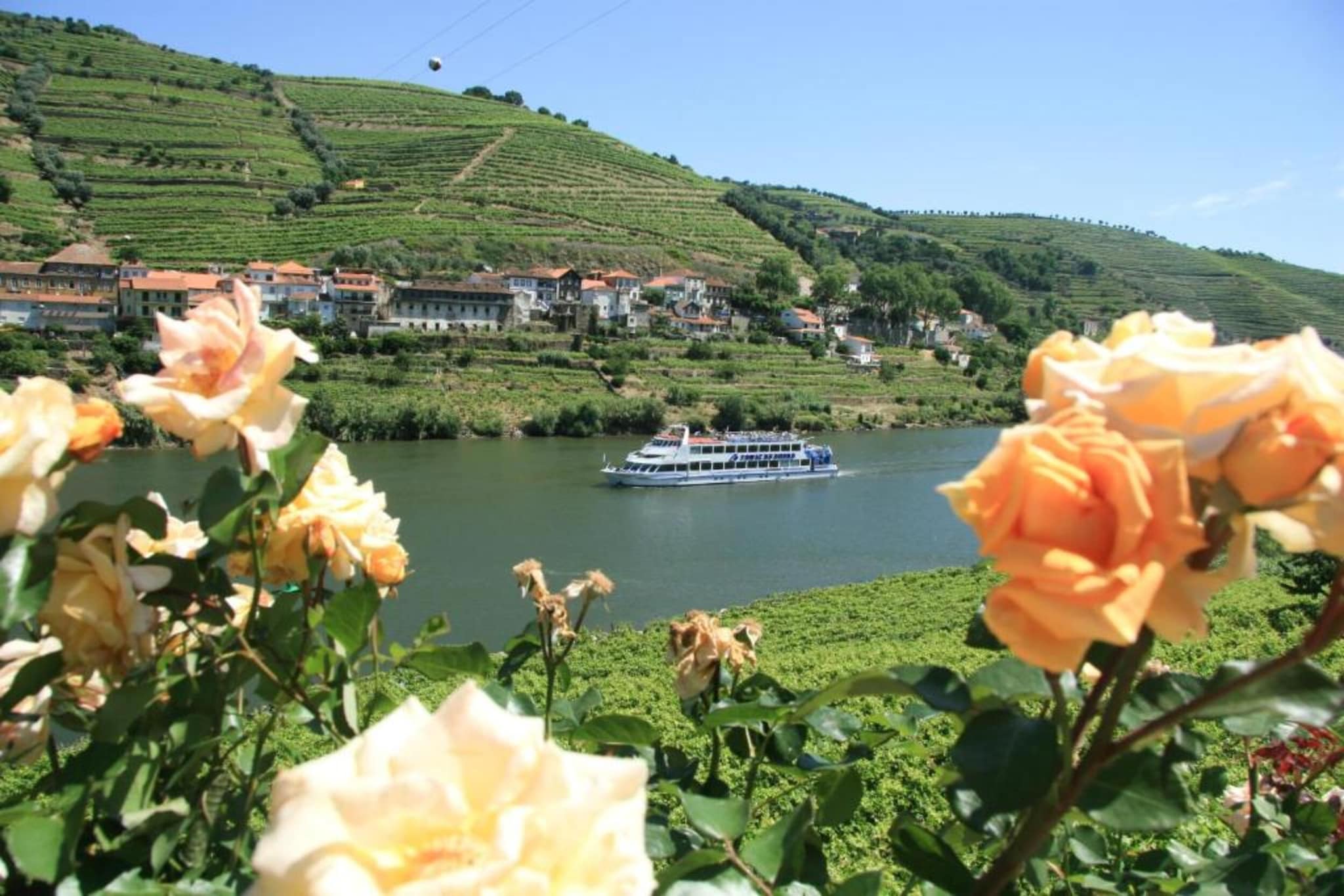 Feel Porto Clérigos Charm Flat 2.1-Gebieden zomer 5km