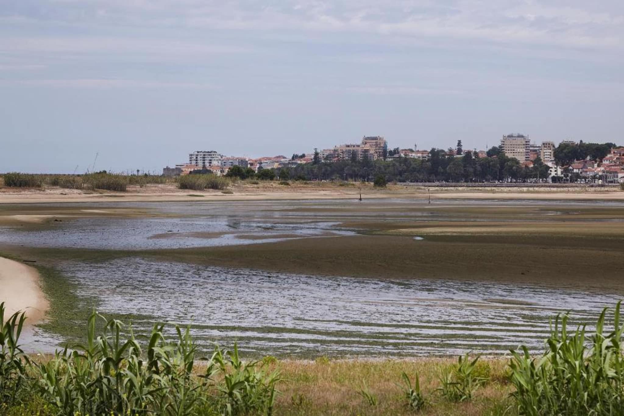 Feel Porto Clérigos Charm Flat 2.3-Gebieden zomer 20km