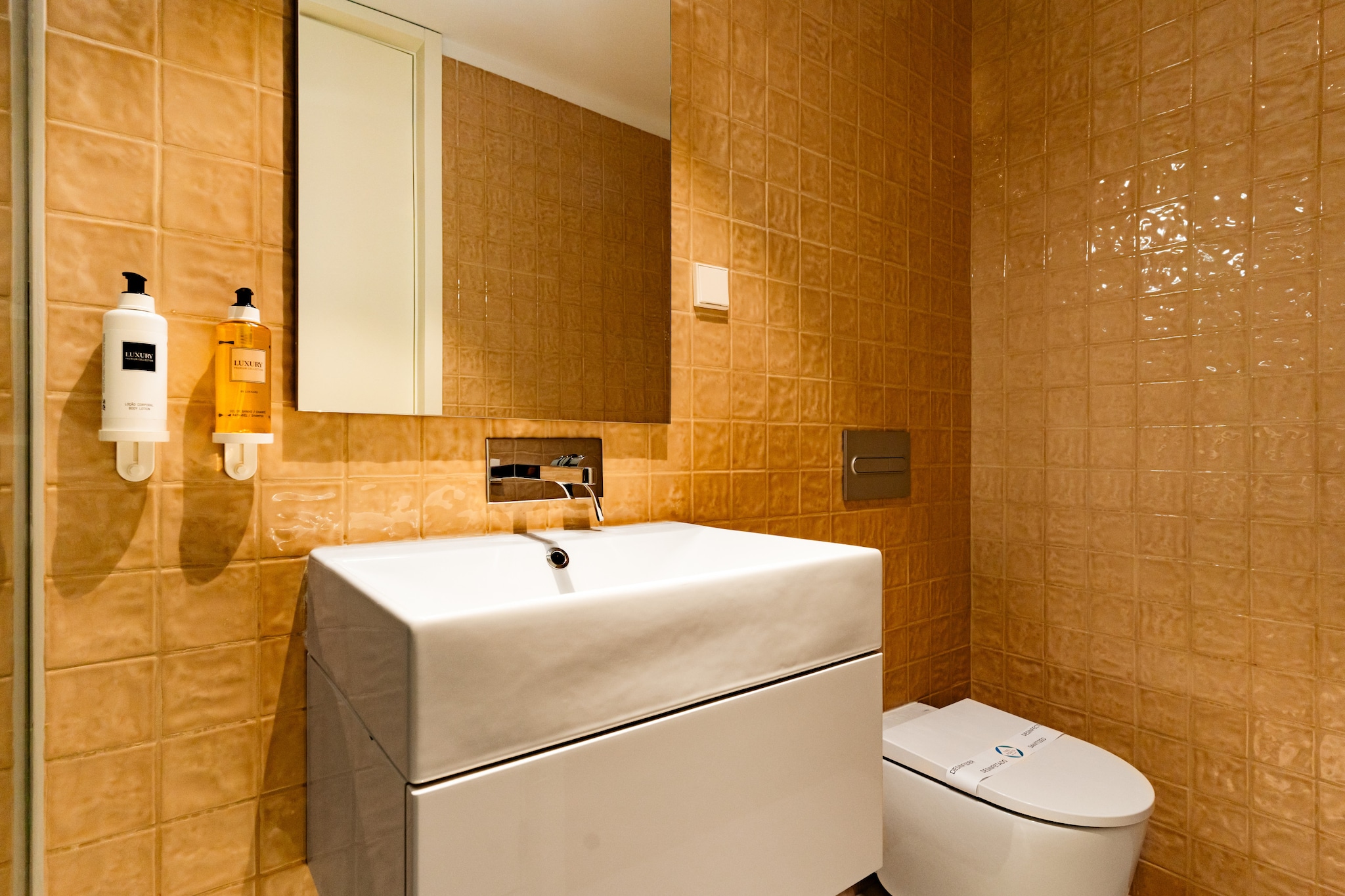 Feel Porto Clérigos Charm Flat 3.3-Badkamer