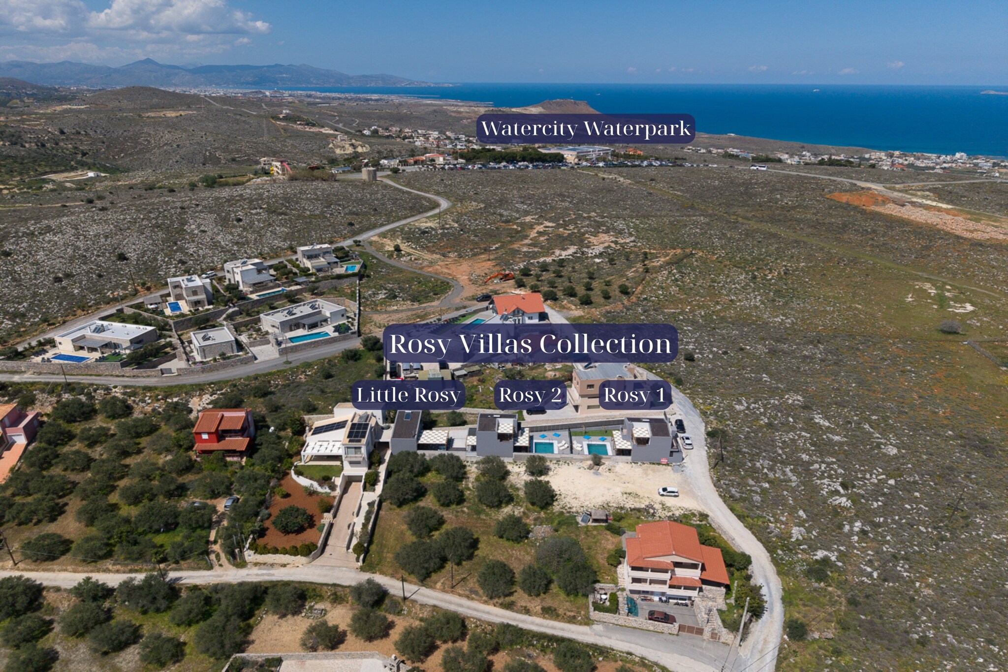 Rosy 1-Image-tags.resort