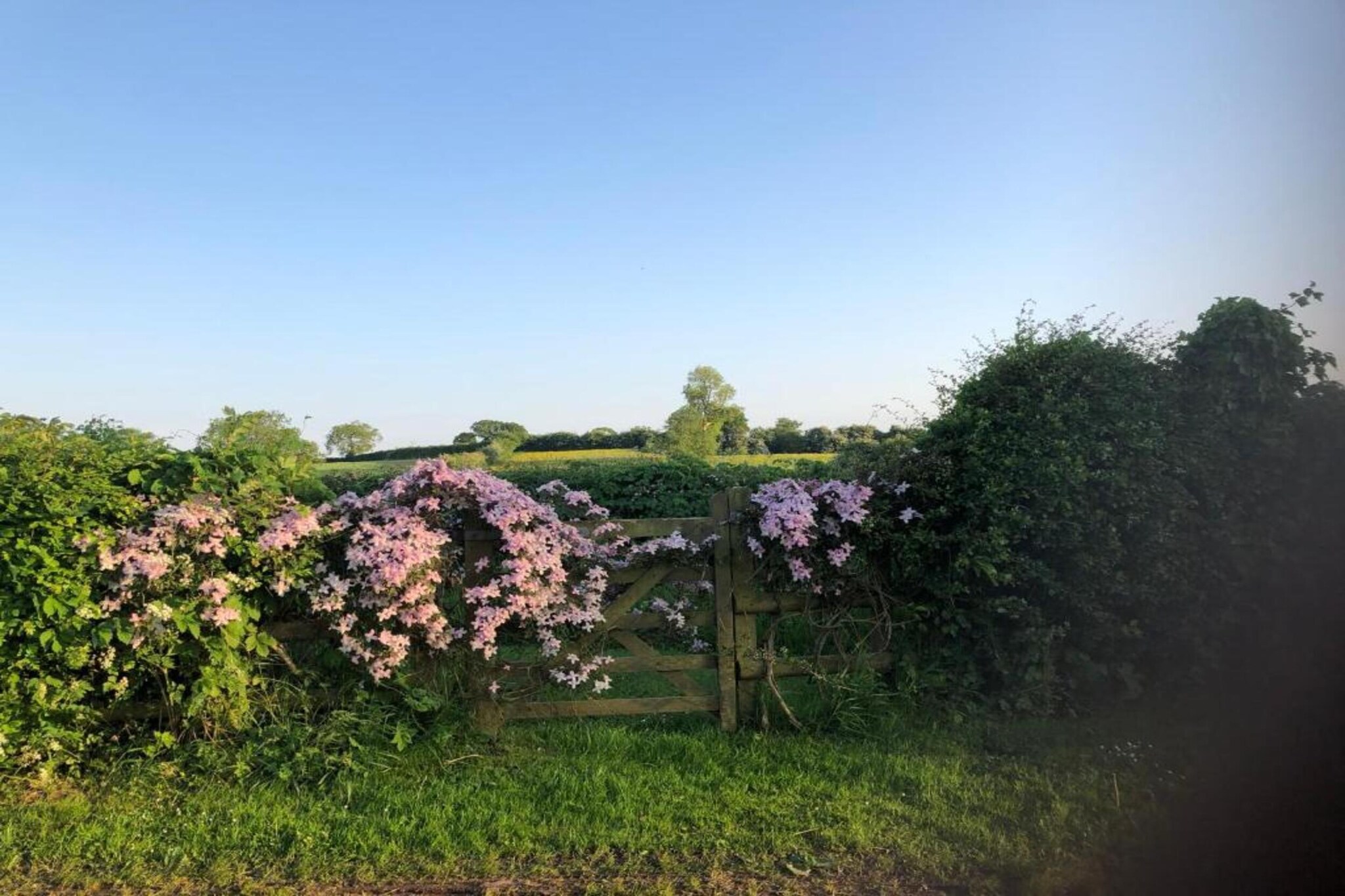 The Pig Barn-Gebieden zomer 5km