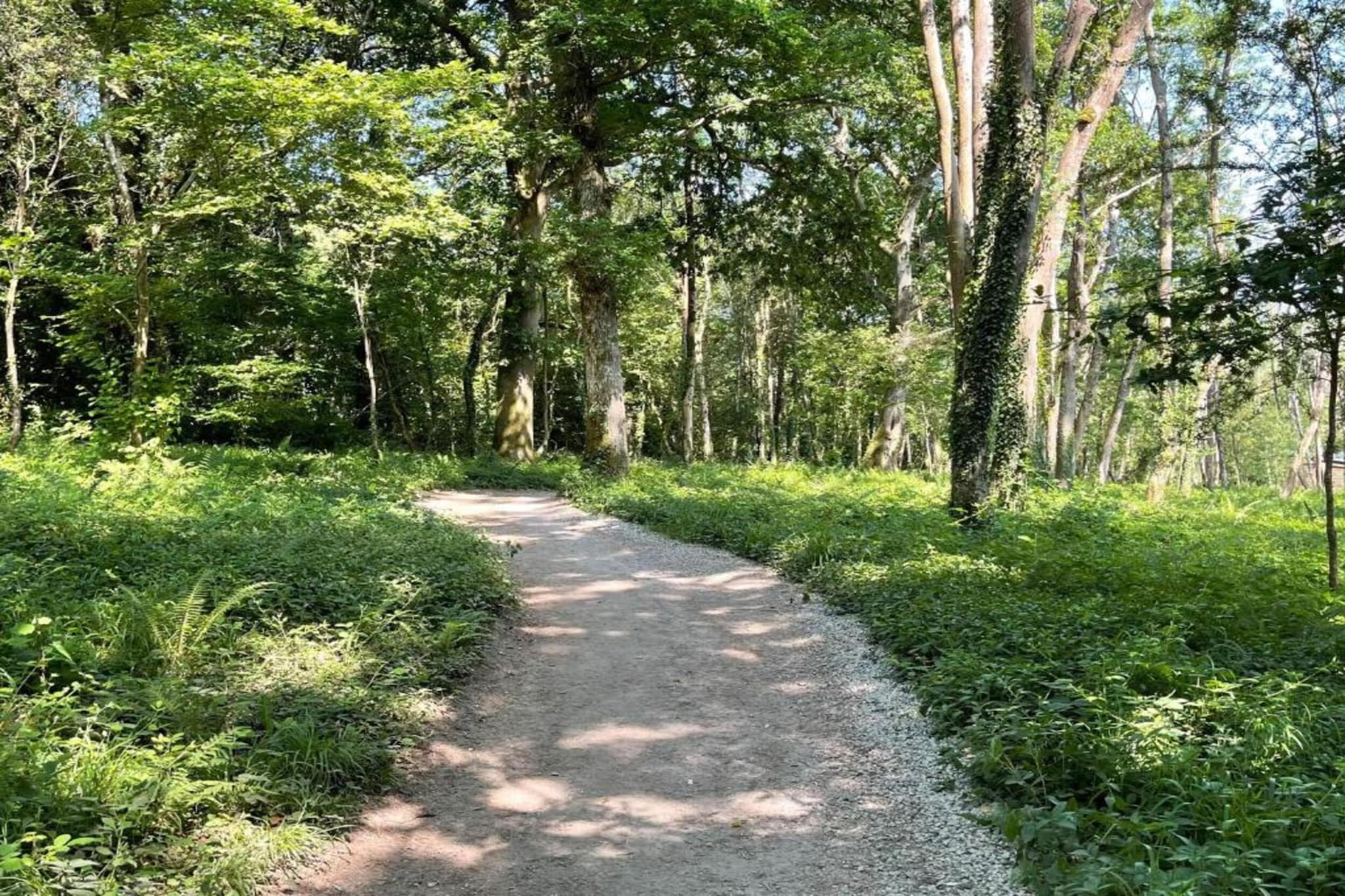 Scotney Luxury Dome-Gebieden zomer 5km