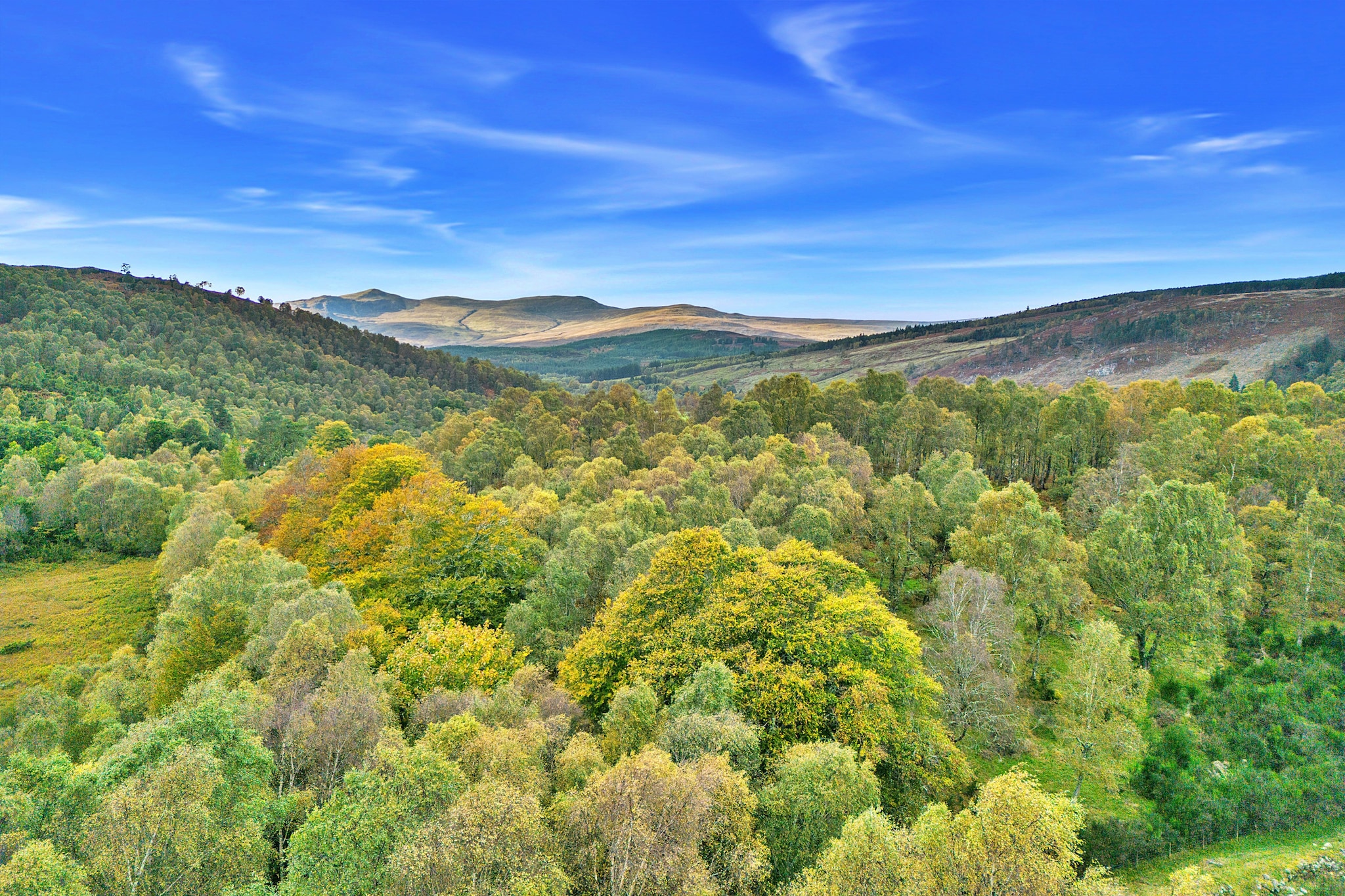 Cosagach Falls Cabin-Buitenlucht