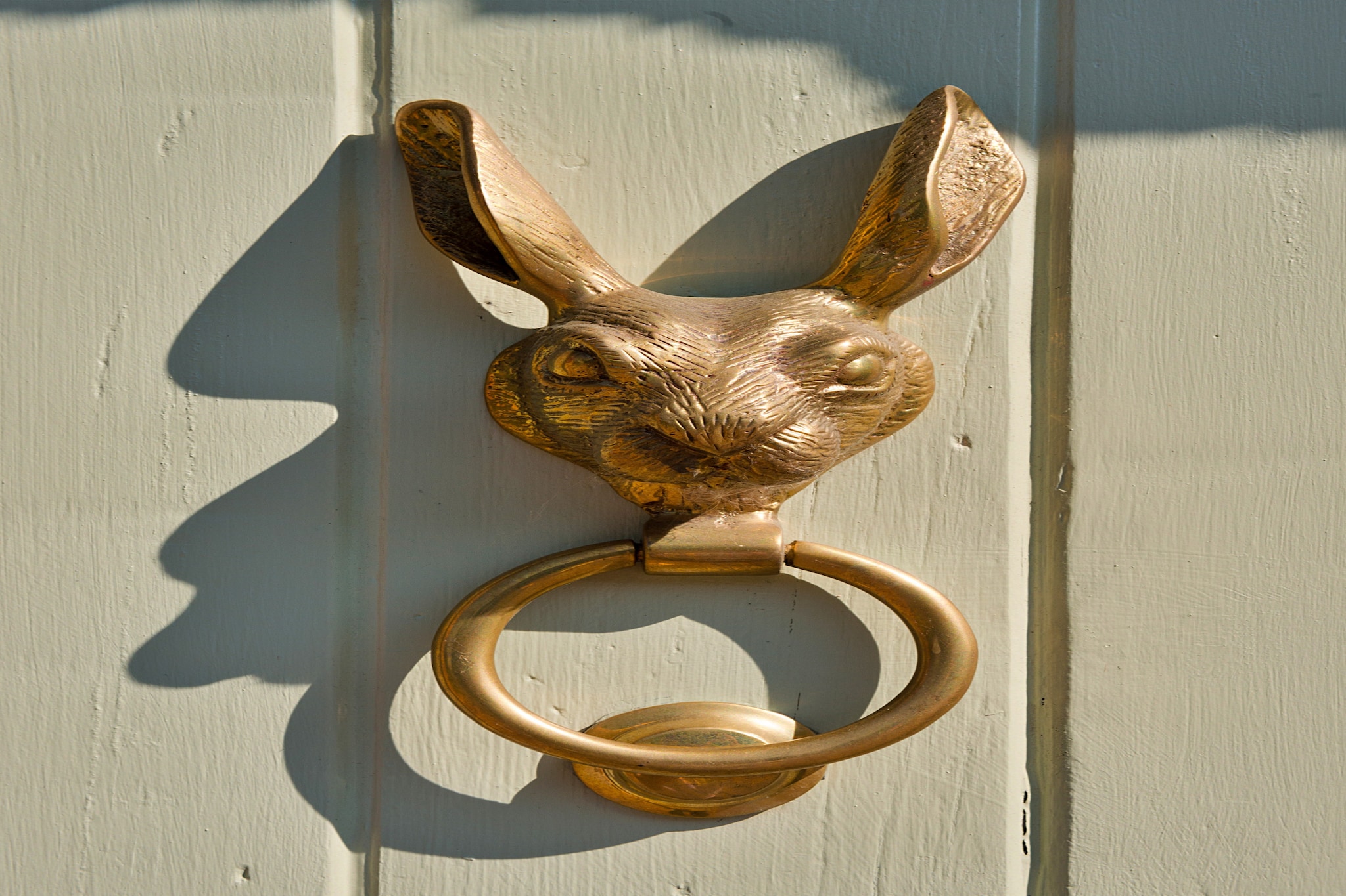 Fox and Hare-Sfeer