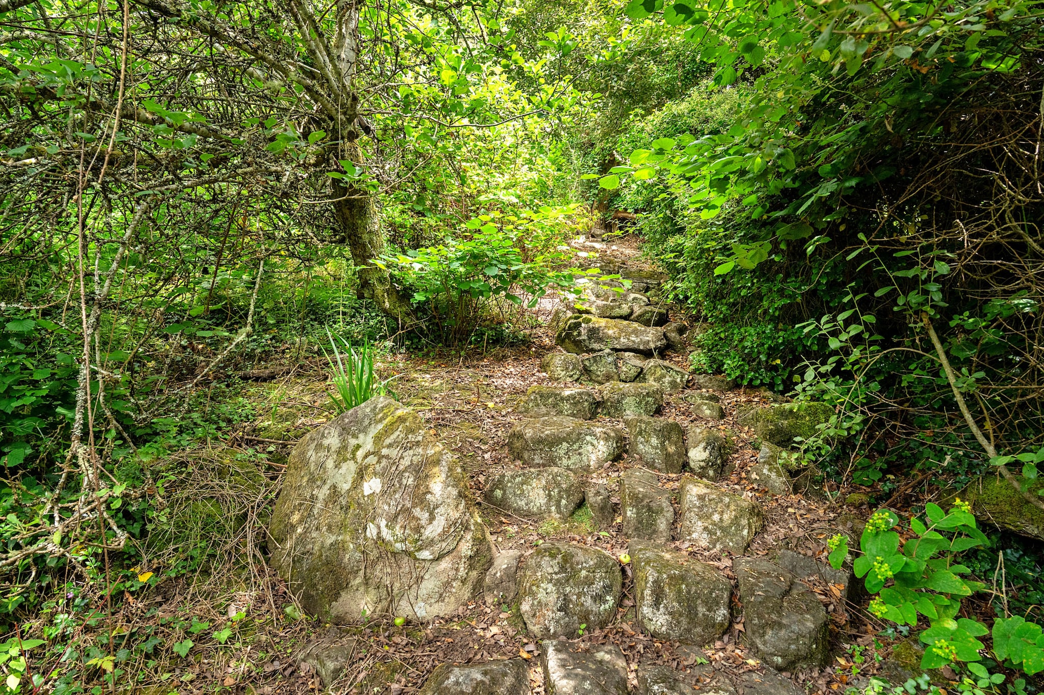 Tregatreath-Buitenlucht