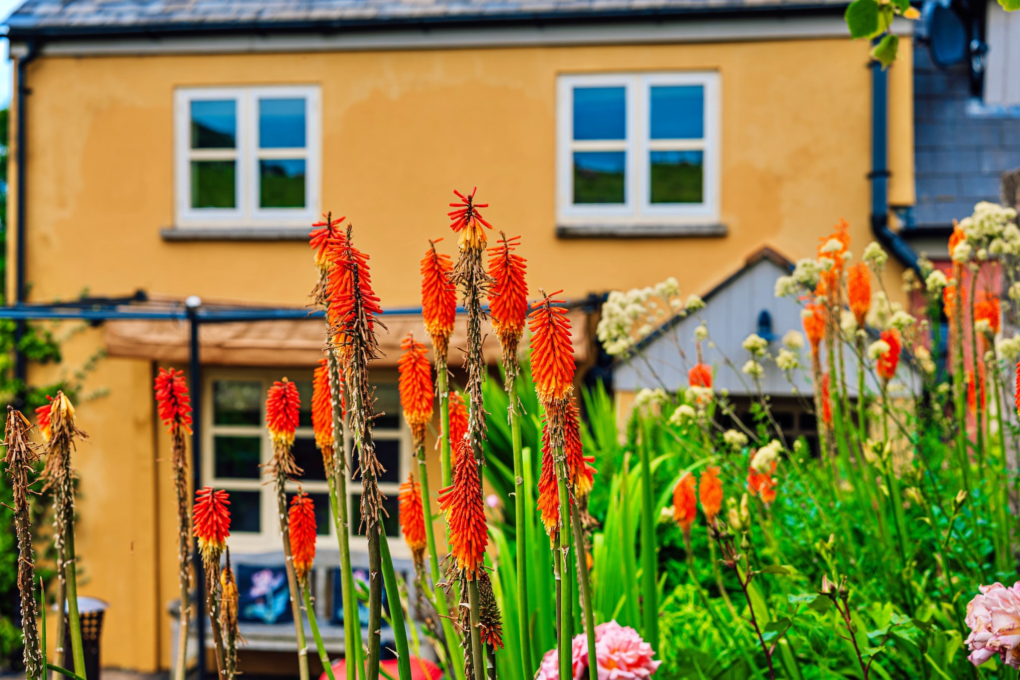Beili Glas Cottage-Buitenlucht