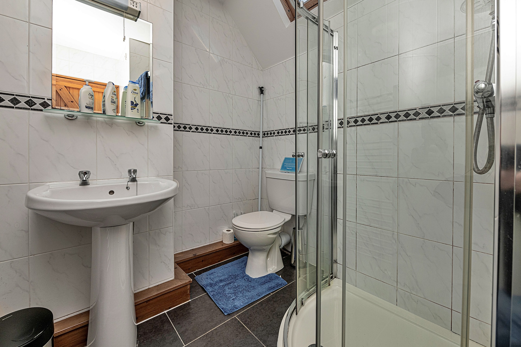 Llechwedd Mawr-Badkamer