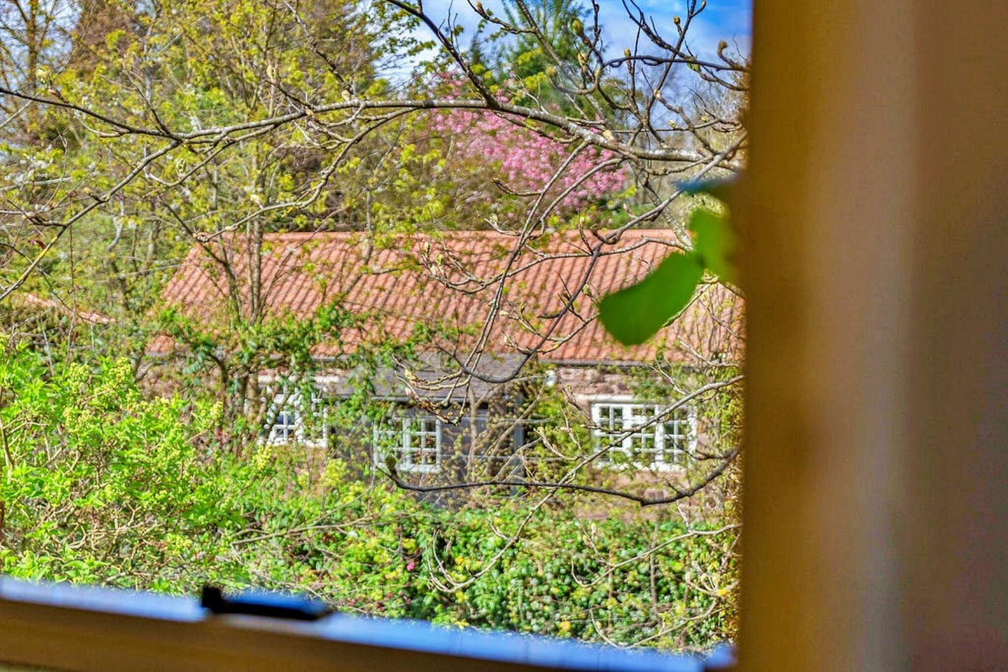 The West Wing at The Mill House-Tuinen zomer