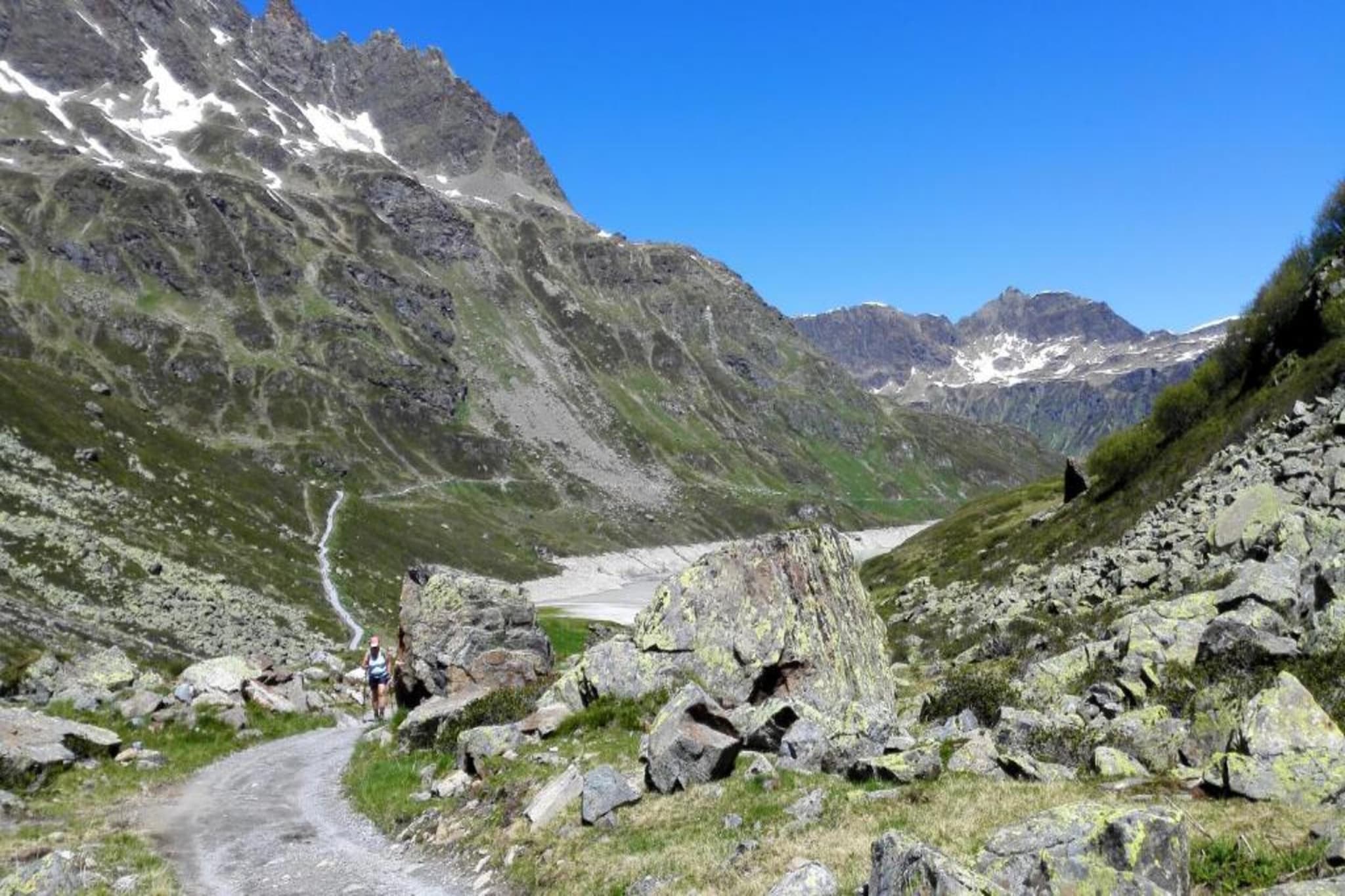 Burger-Gebieden zomer 20km