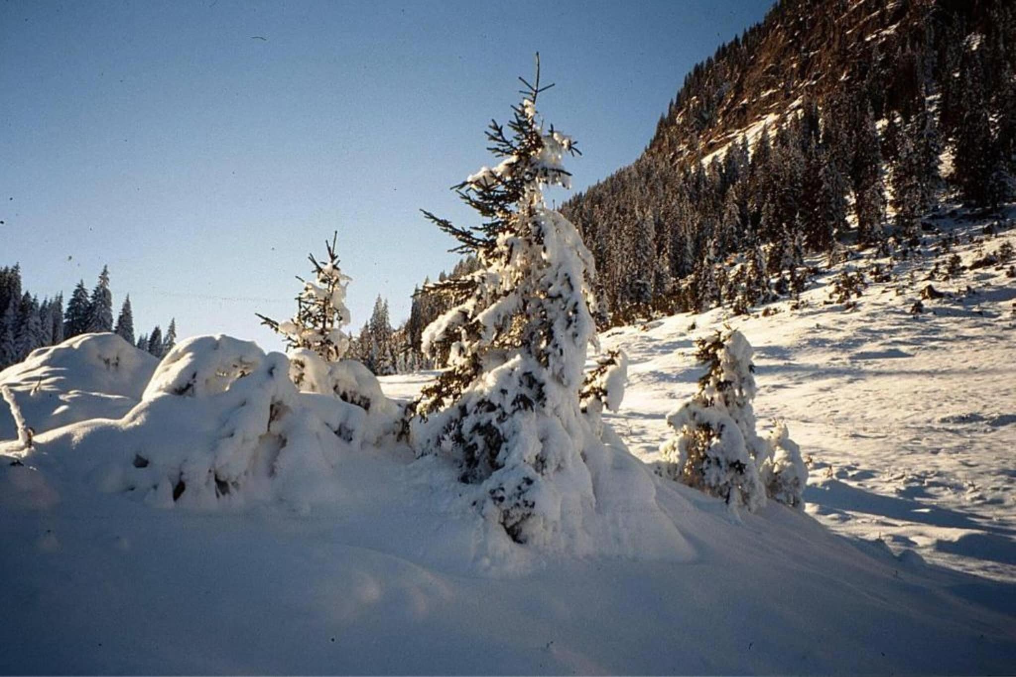 Burger-Gebied winter 20km
