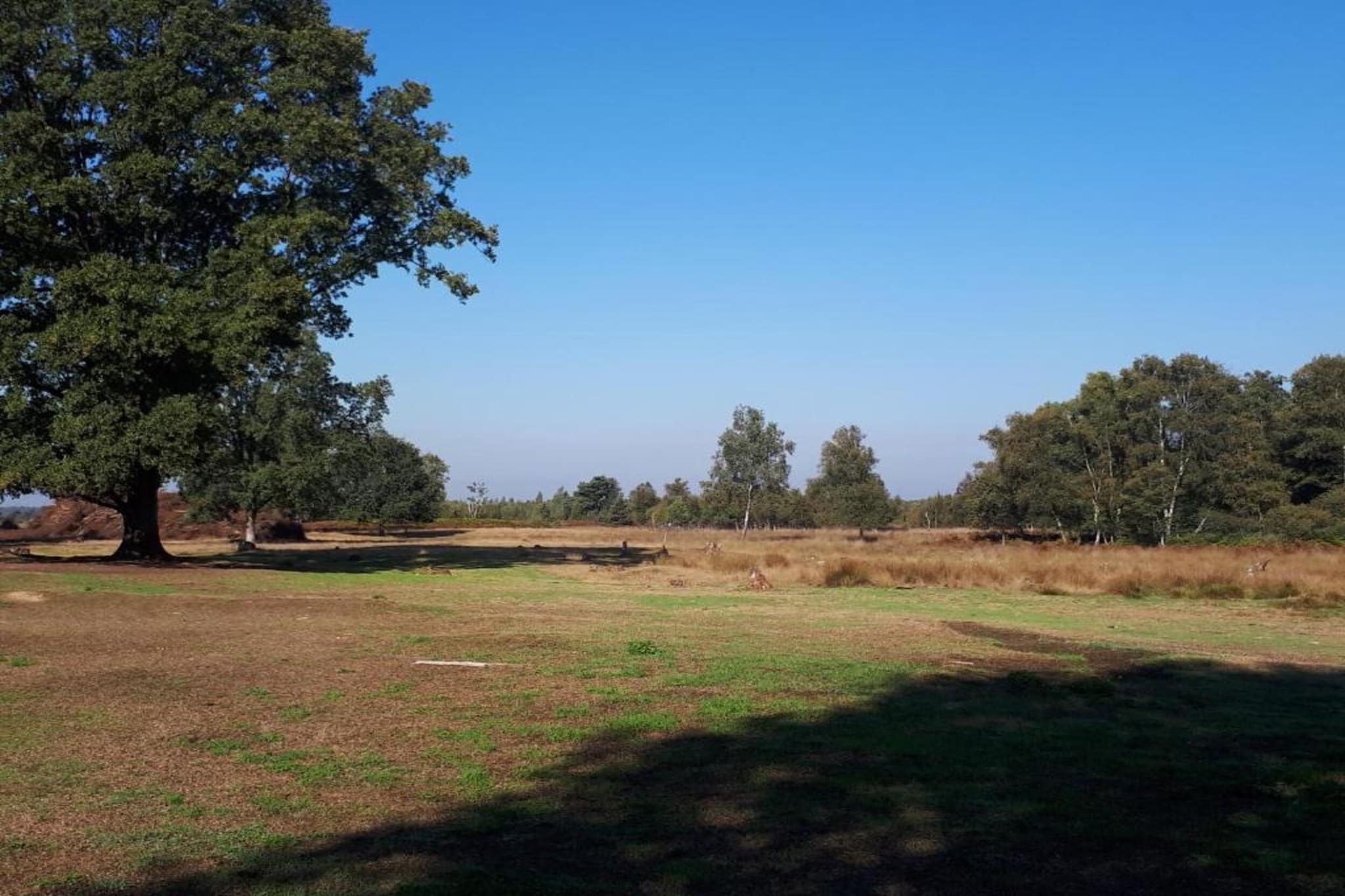 Chalet Eekhoorn-Areas summer 5km