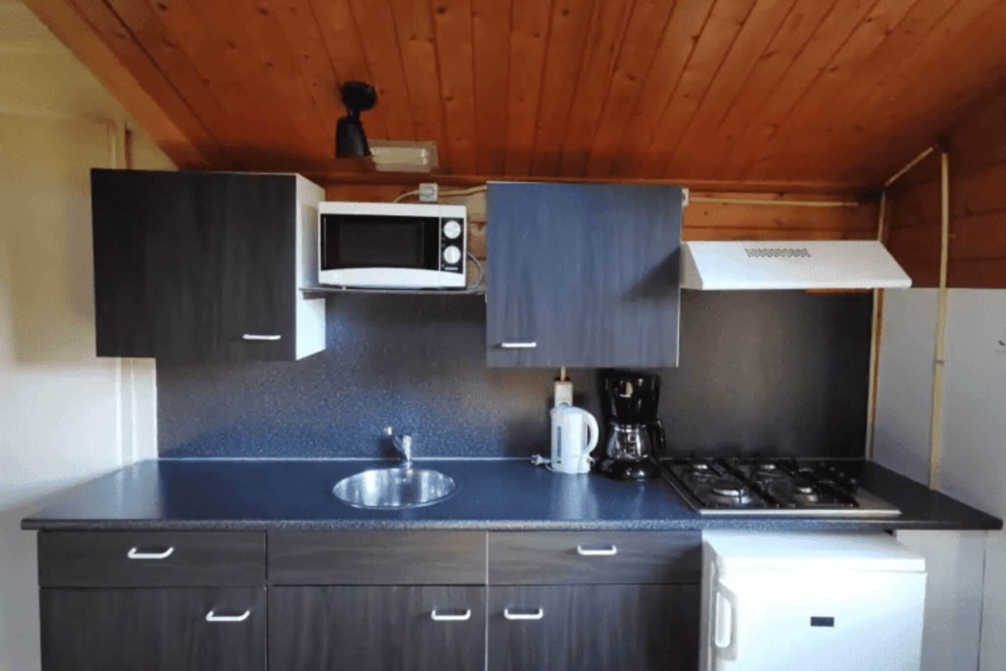 Scandinavische Stuga (4 personen)