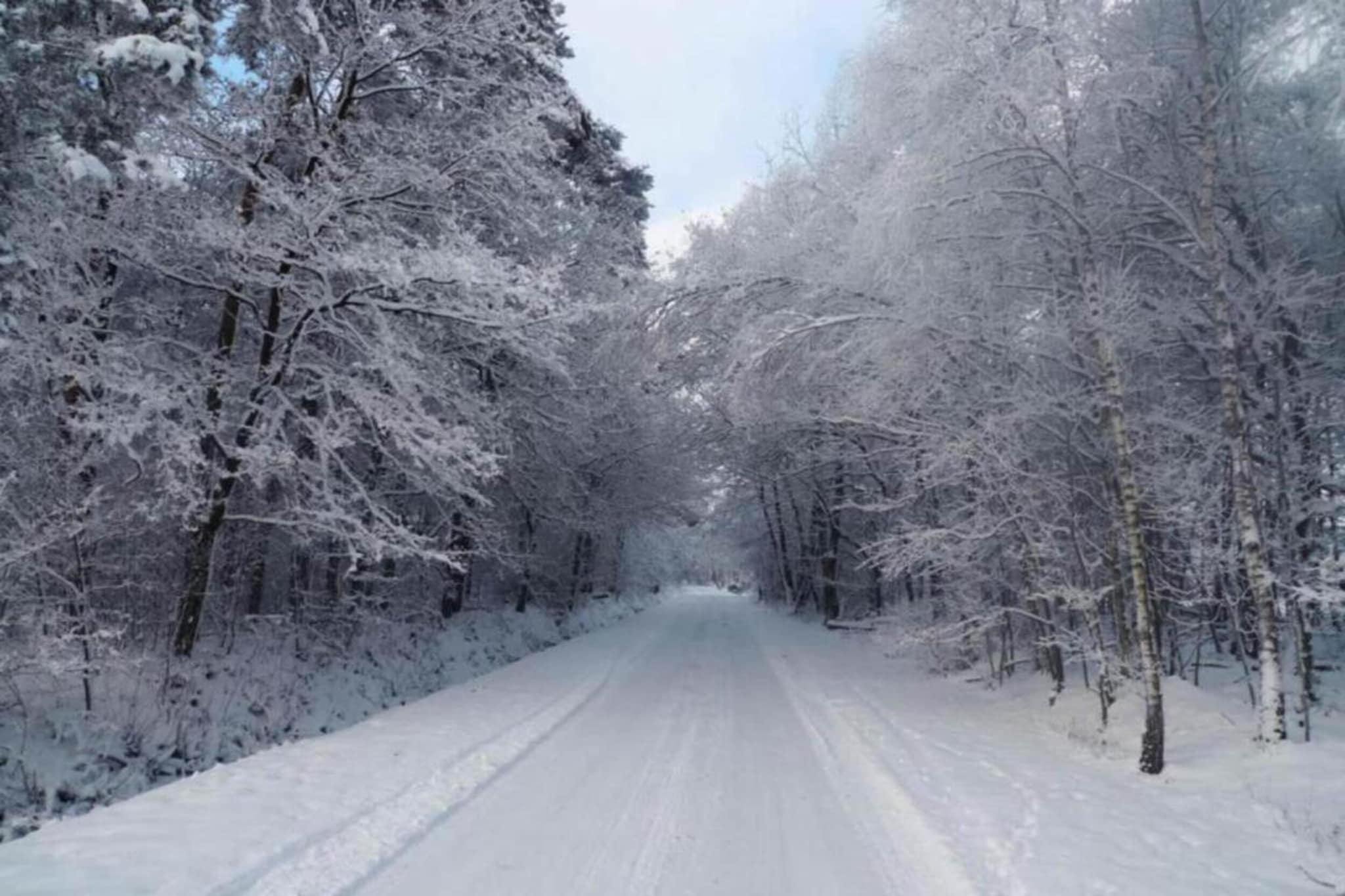 Scandinavische Stuga (4 personen)-Gebied winter 20km