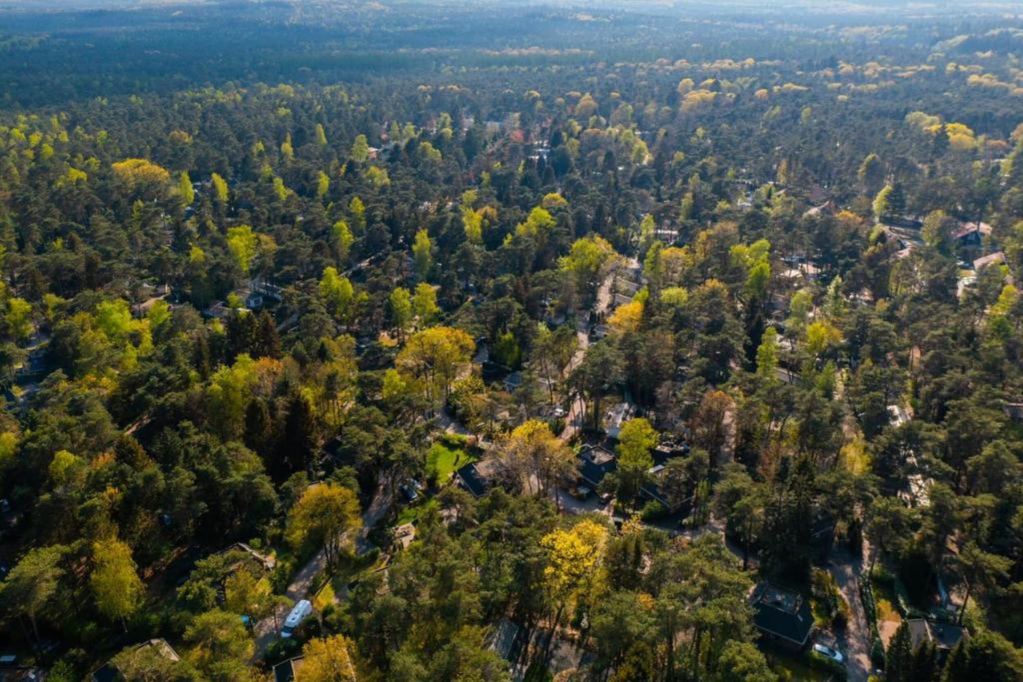Chalet Eekhoorn-Zones d'été à 5 km