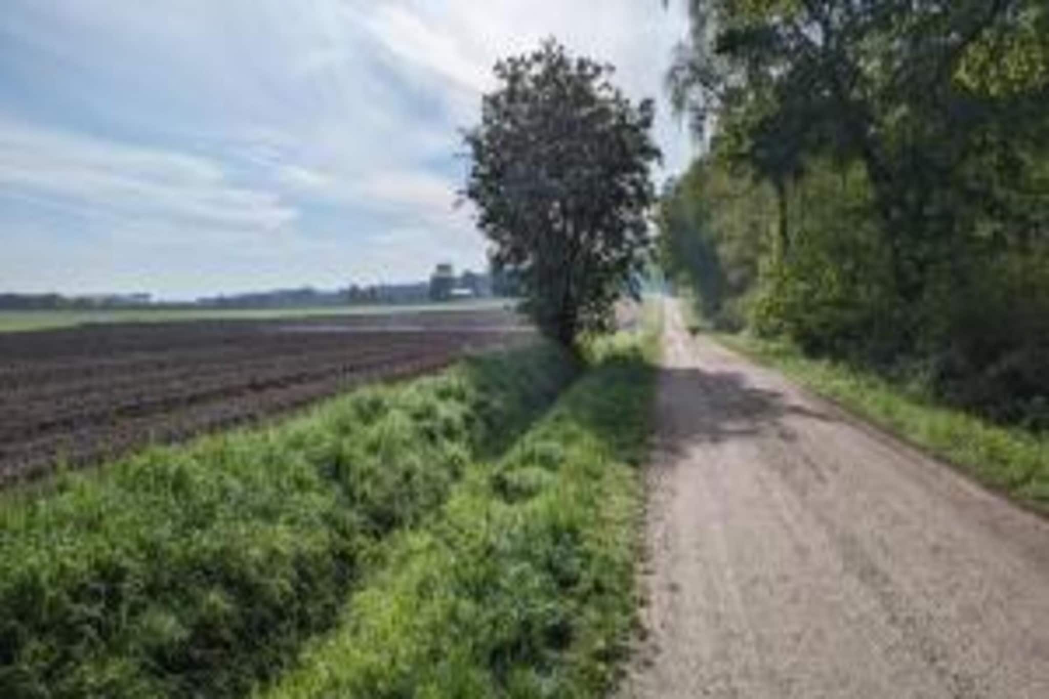 Chalet Eekhoorn-Zones d'été à 5 km