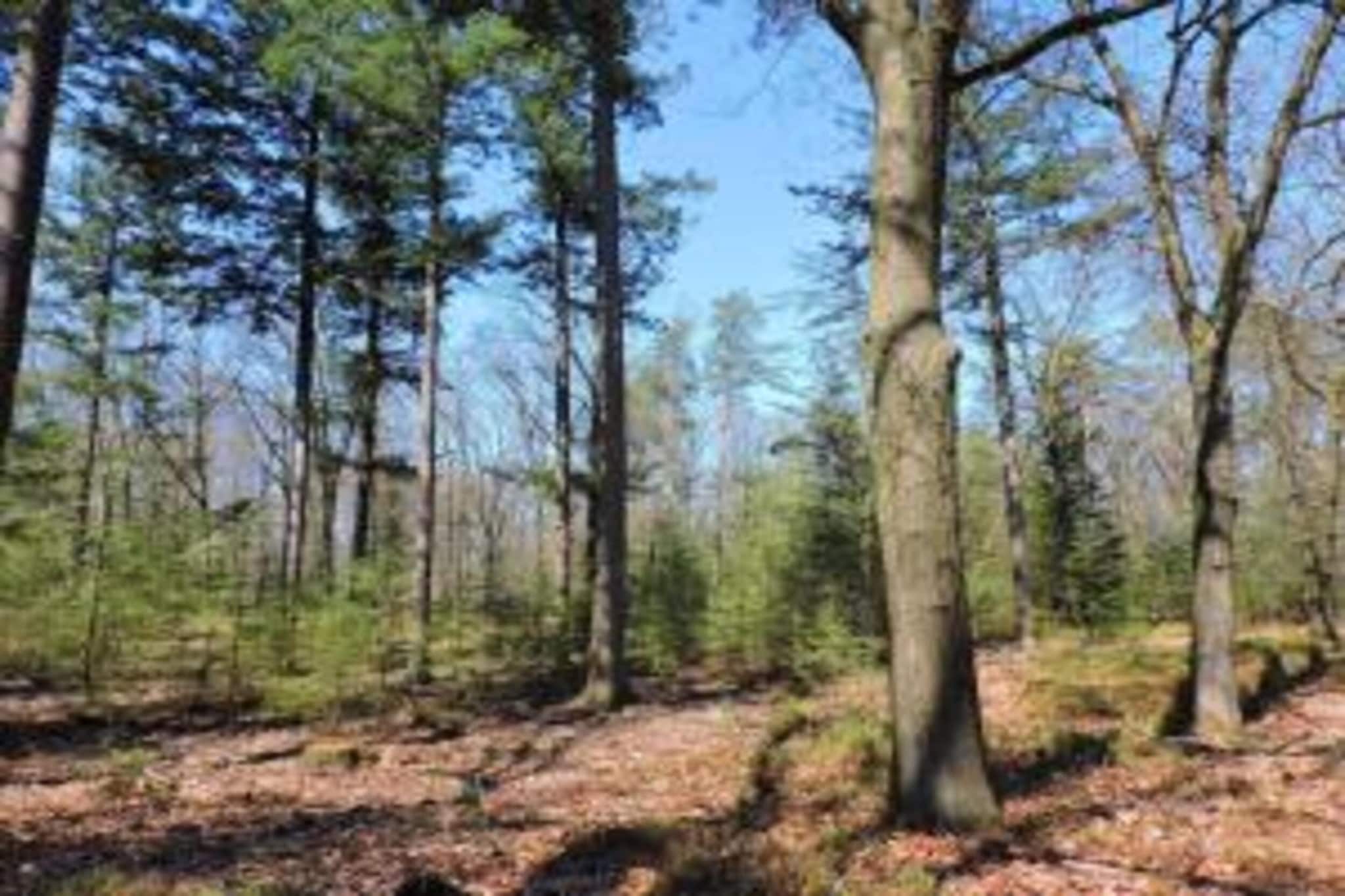 Chalet Eekhoorn-Zones d'été à 5 km