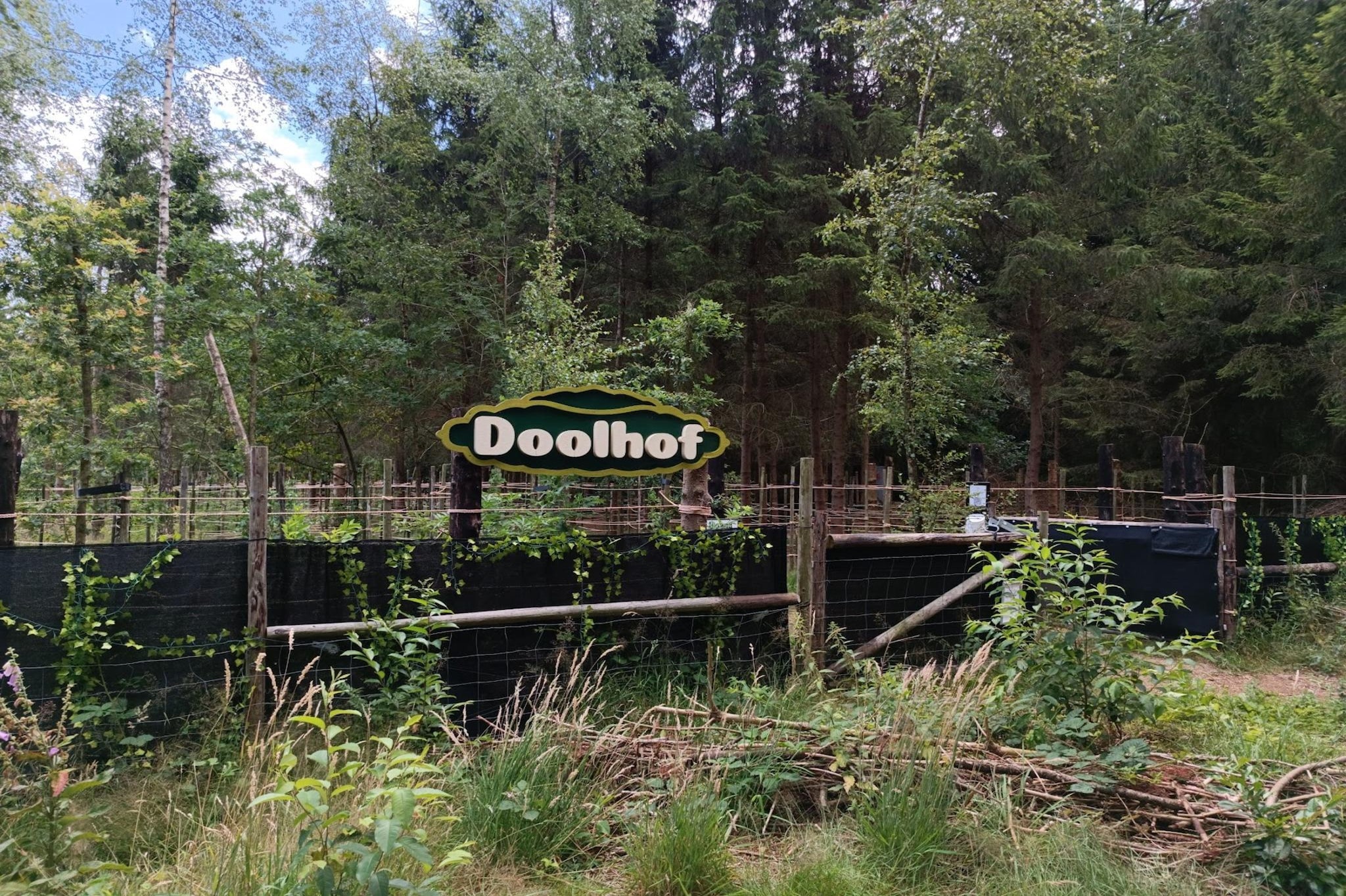 Chalet Meerkoet-Gebieden zomer 5km