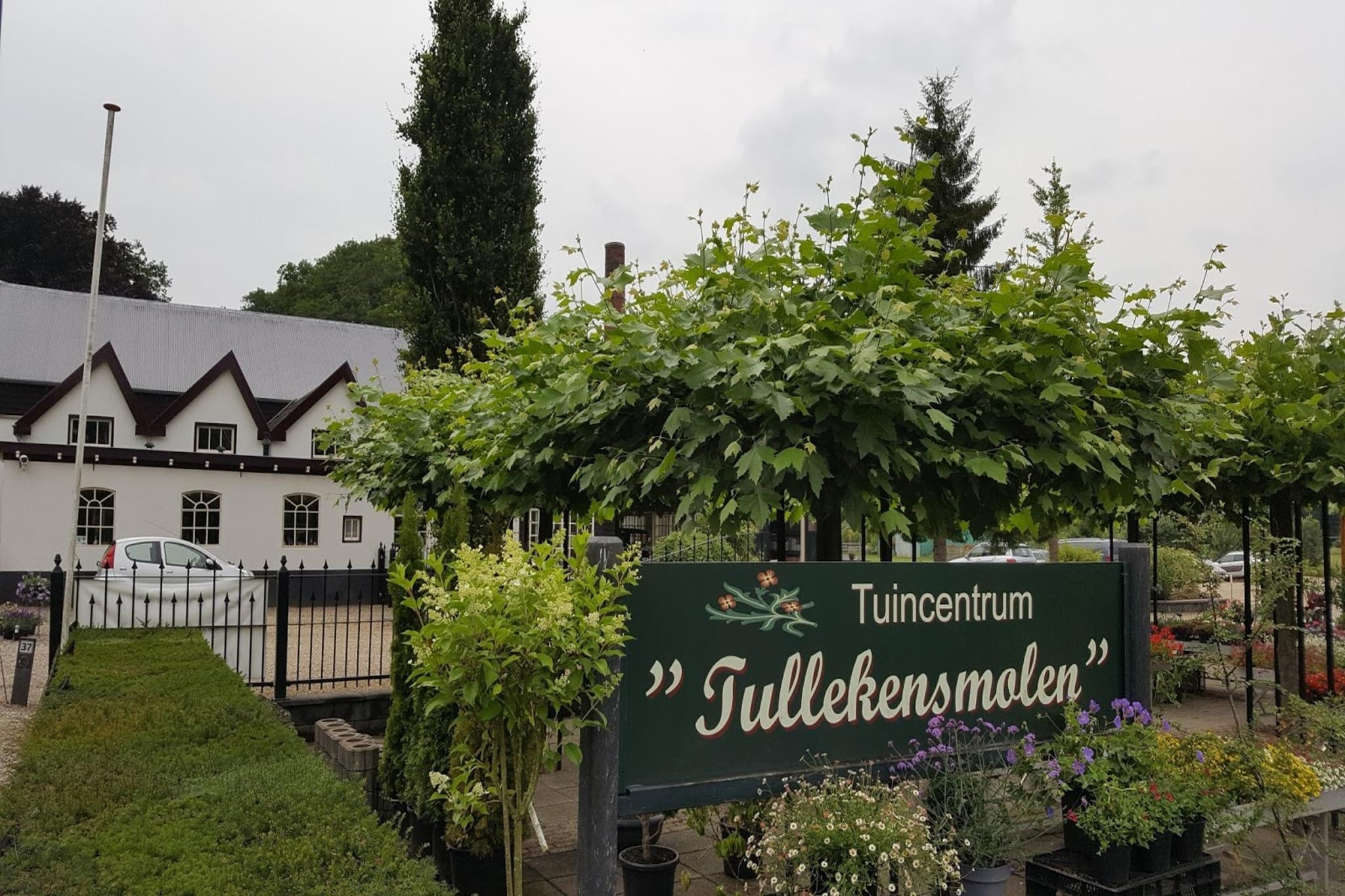 Chalet Meerkoet-Gebieden zomer 1km