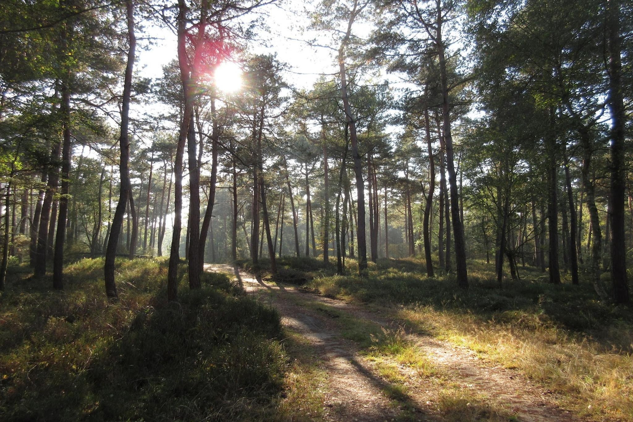 Chalet Meerkoet-Gebieden zomer 5km