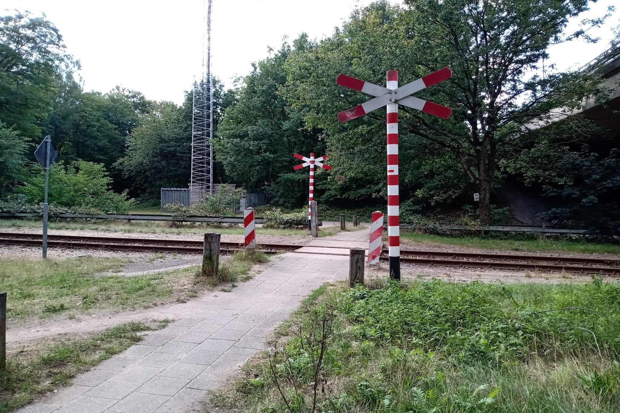 Chalet Meerkoet-Gebieden zomer 1km