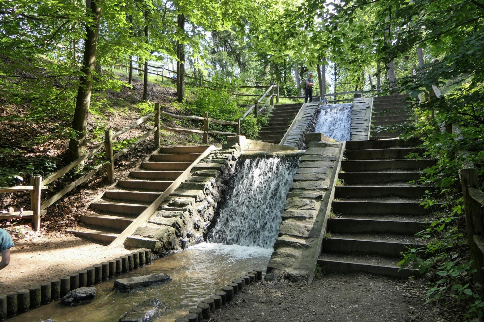 Chalet Meerkoet-Gebieden zomer 1km
