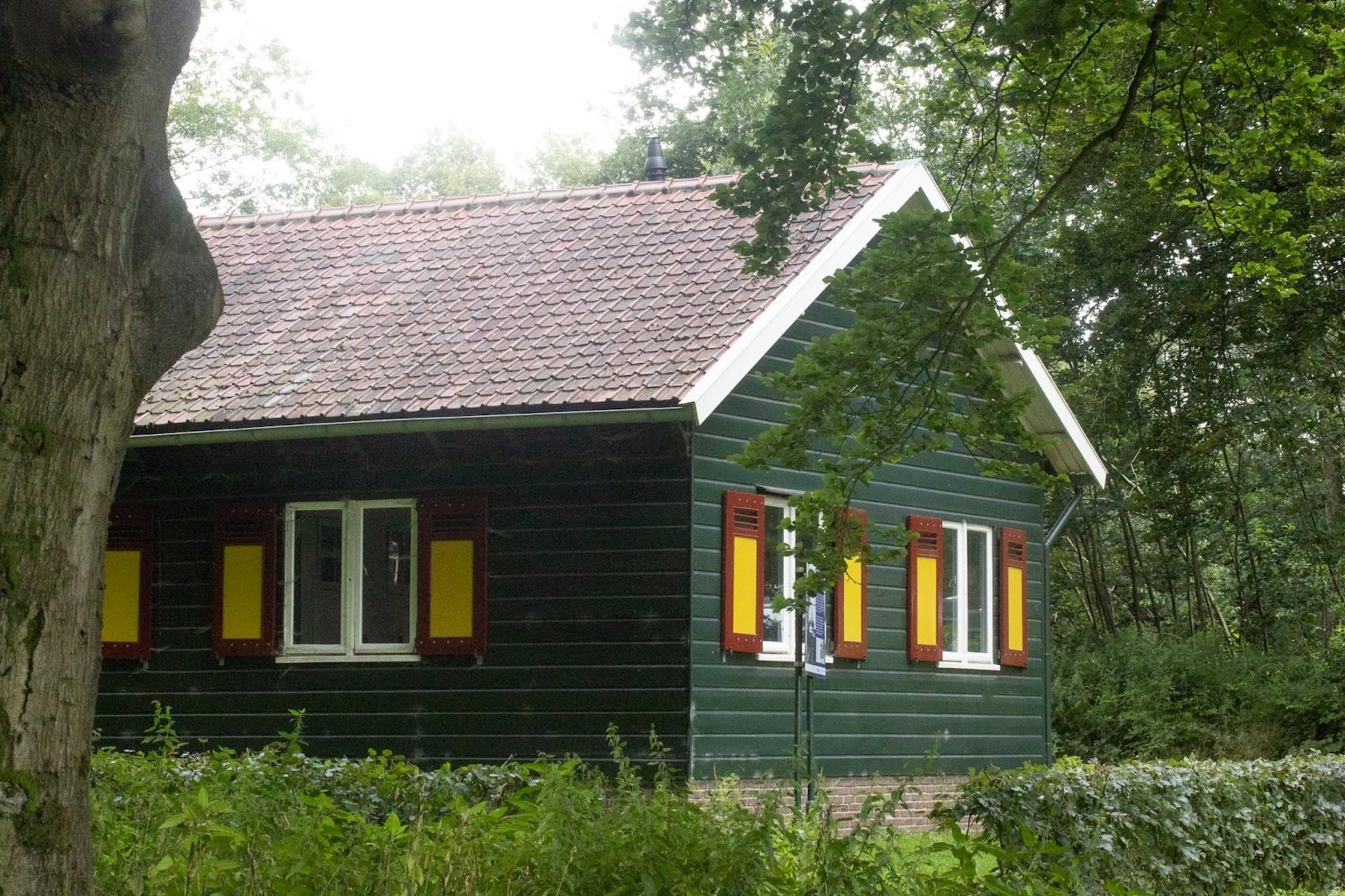 Chalet Meerkoet-Gebieden zomer 5km