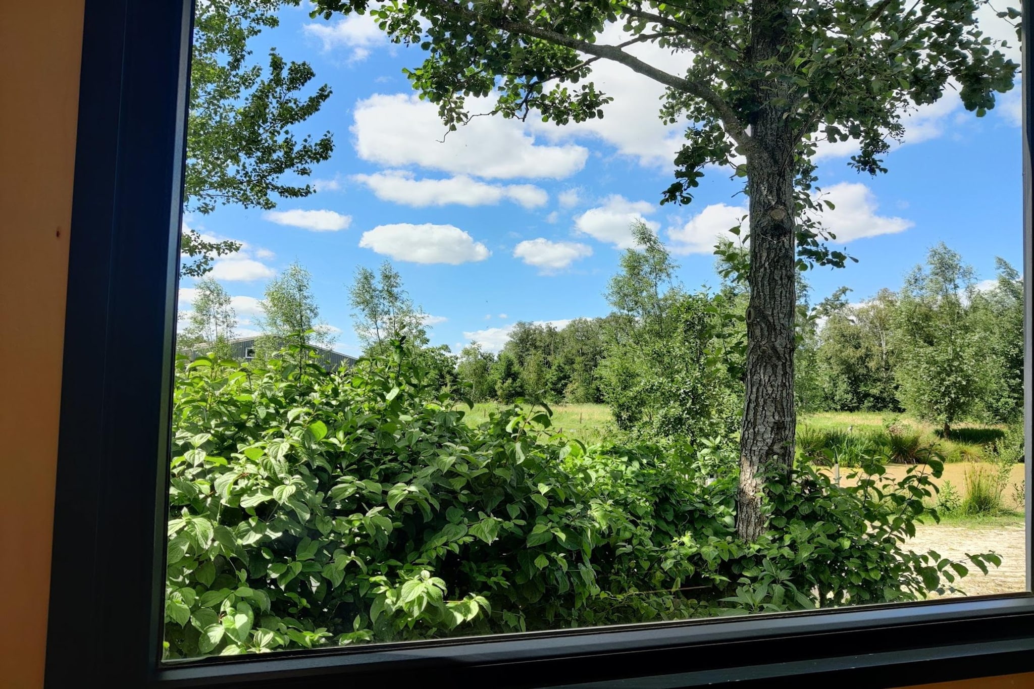 Tiny house voor 2  2 personen-Aussicht Sommer