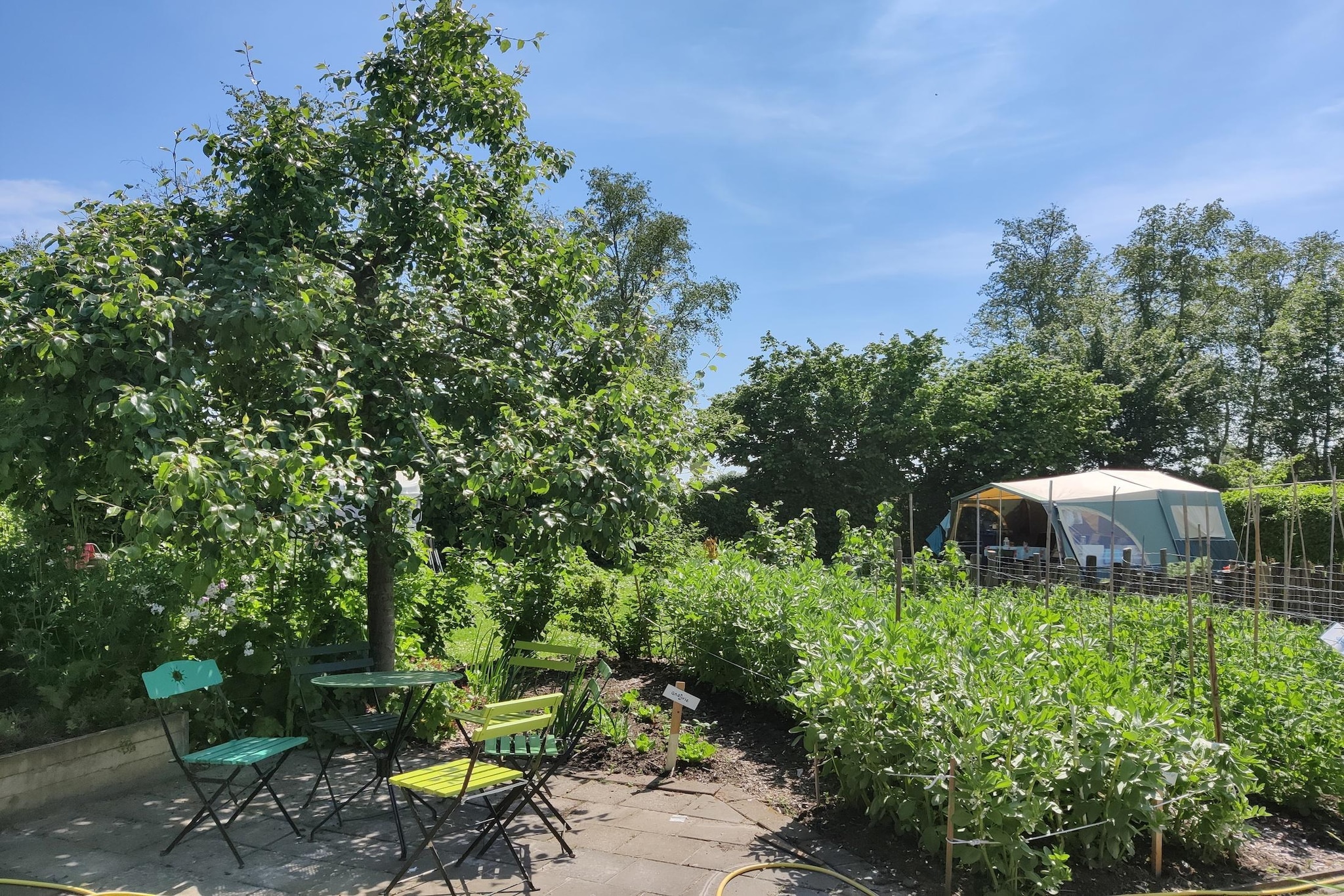 Garden Summer