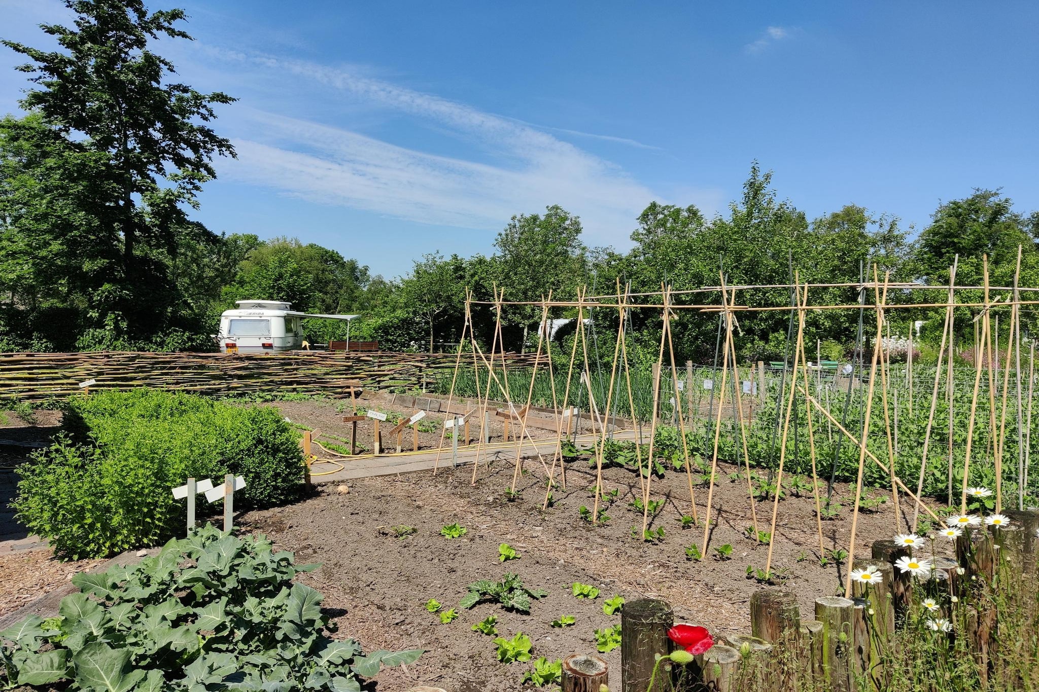 Groepsaccommodatie + 4 large greenhouses (36 personen)-Tuinen zomer
