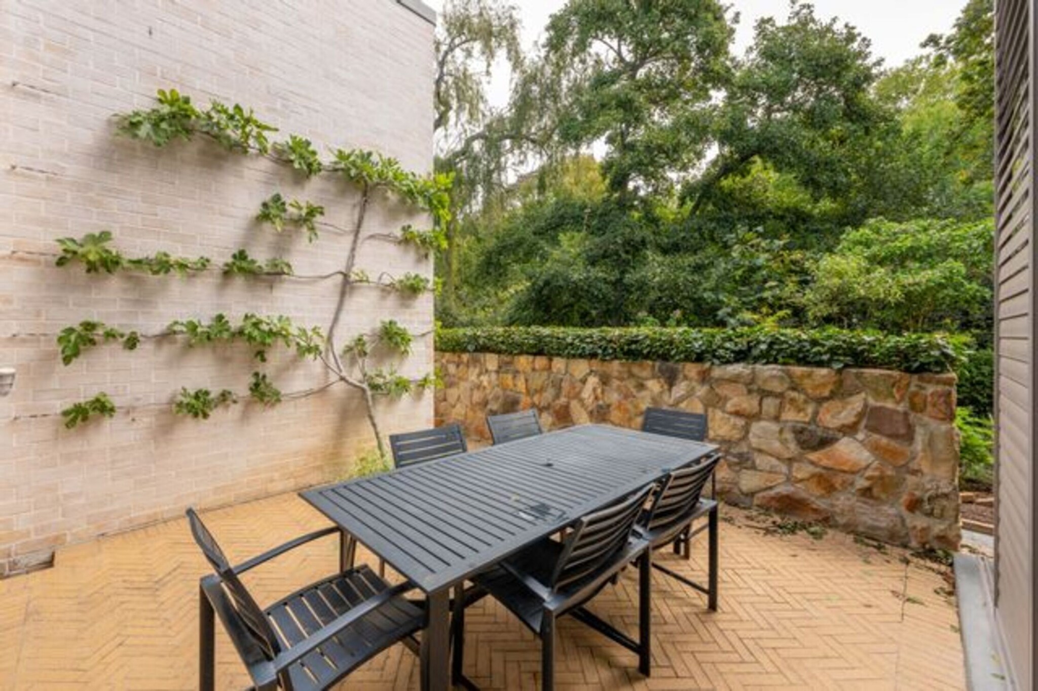 French Elegance in Bishopscourt