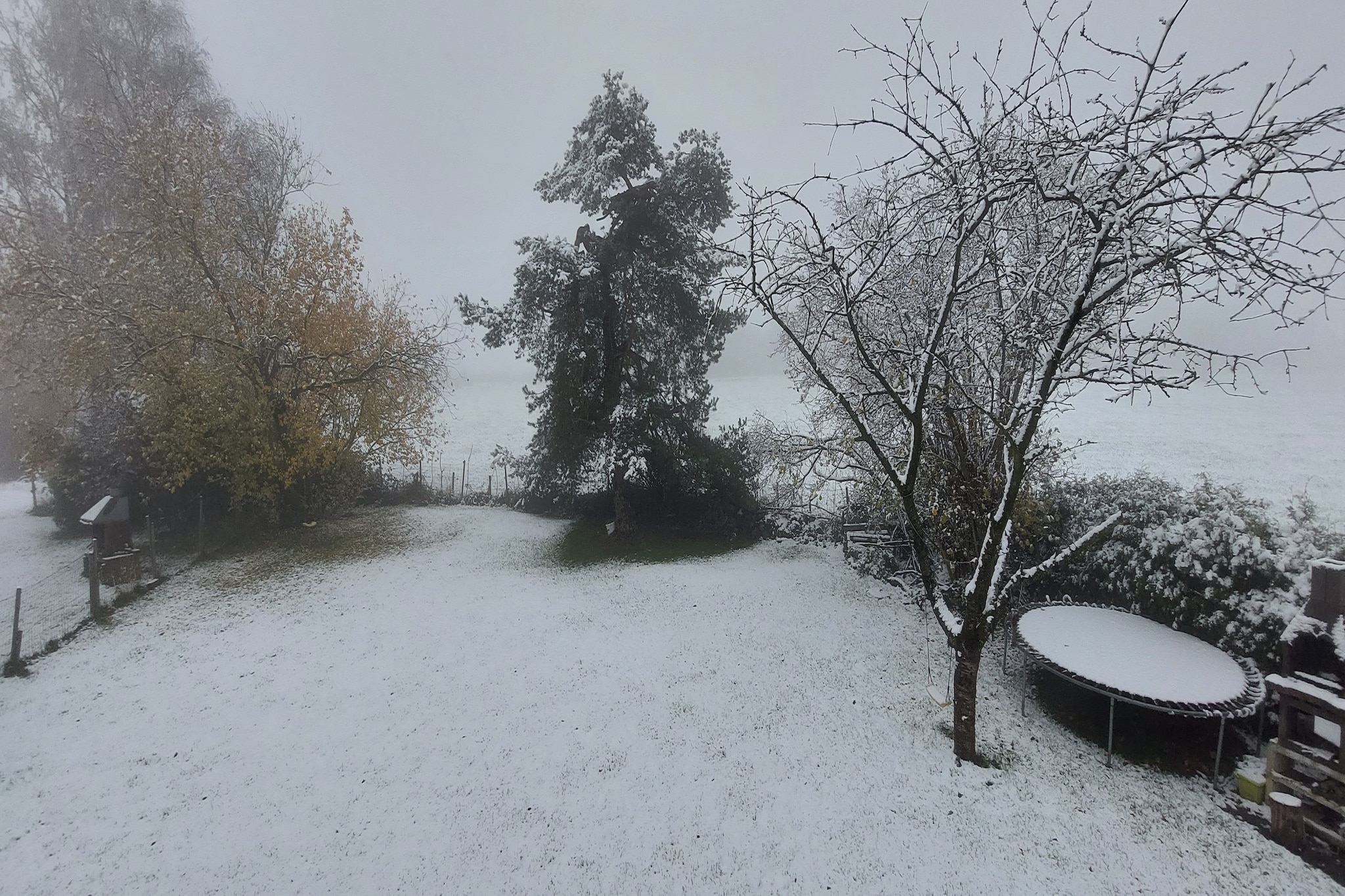 Ardennes Bleu 4 pers maximum-Garden winter