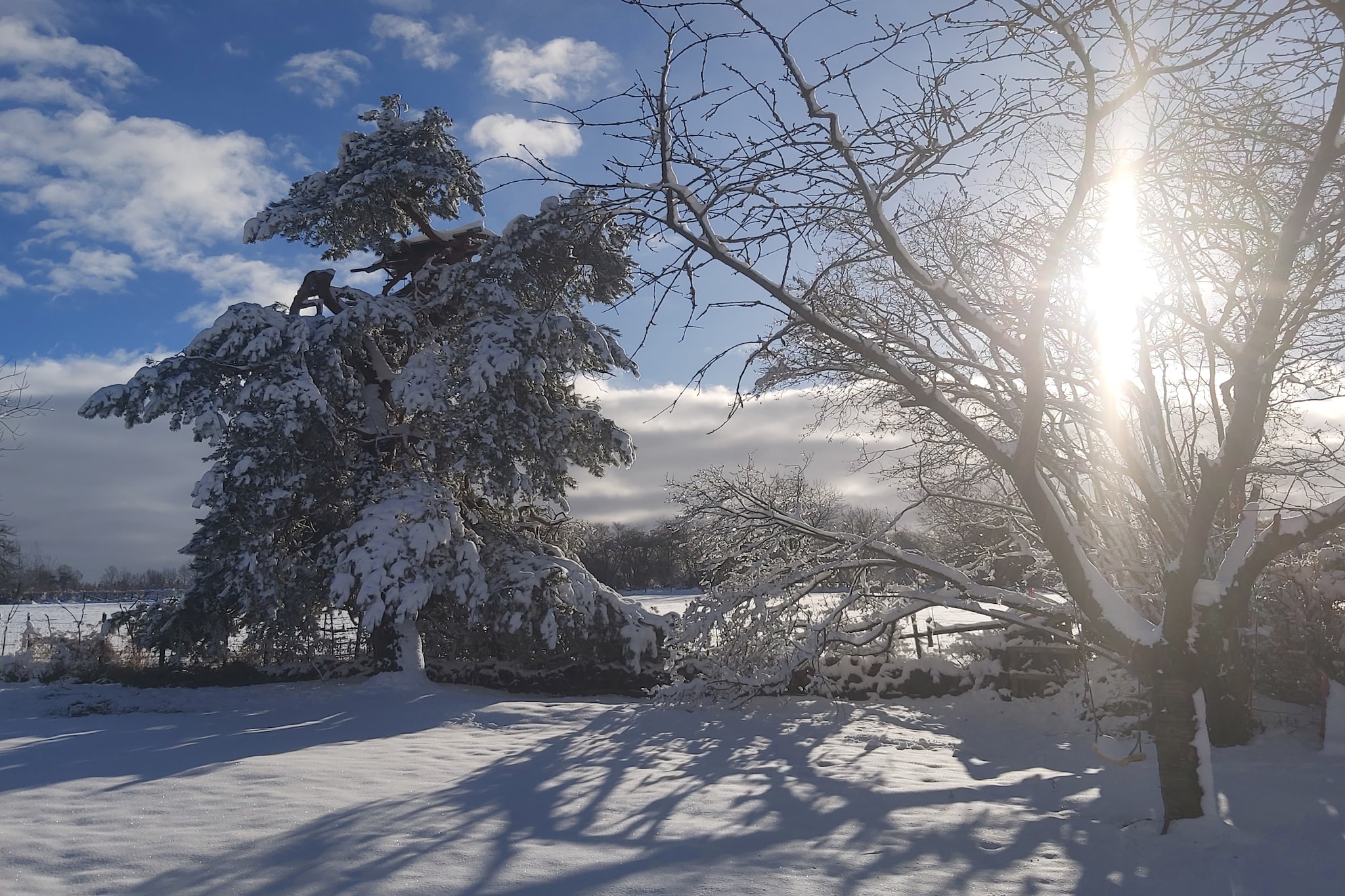 Ardennes Bleu 4 pers maximum-Garden winter