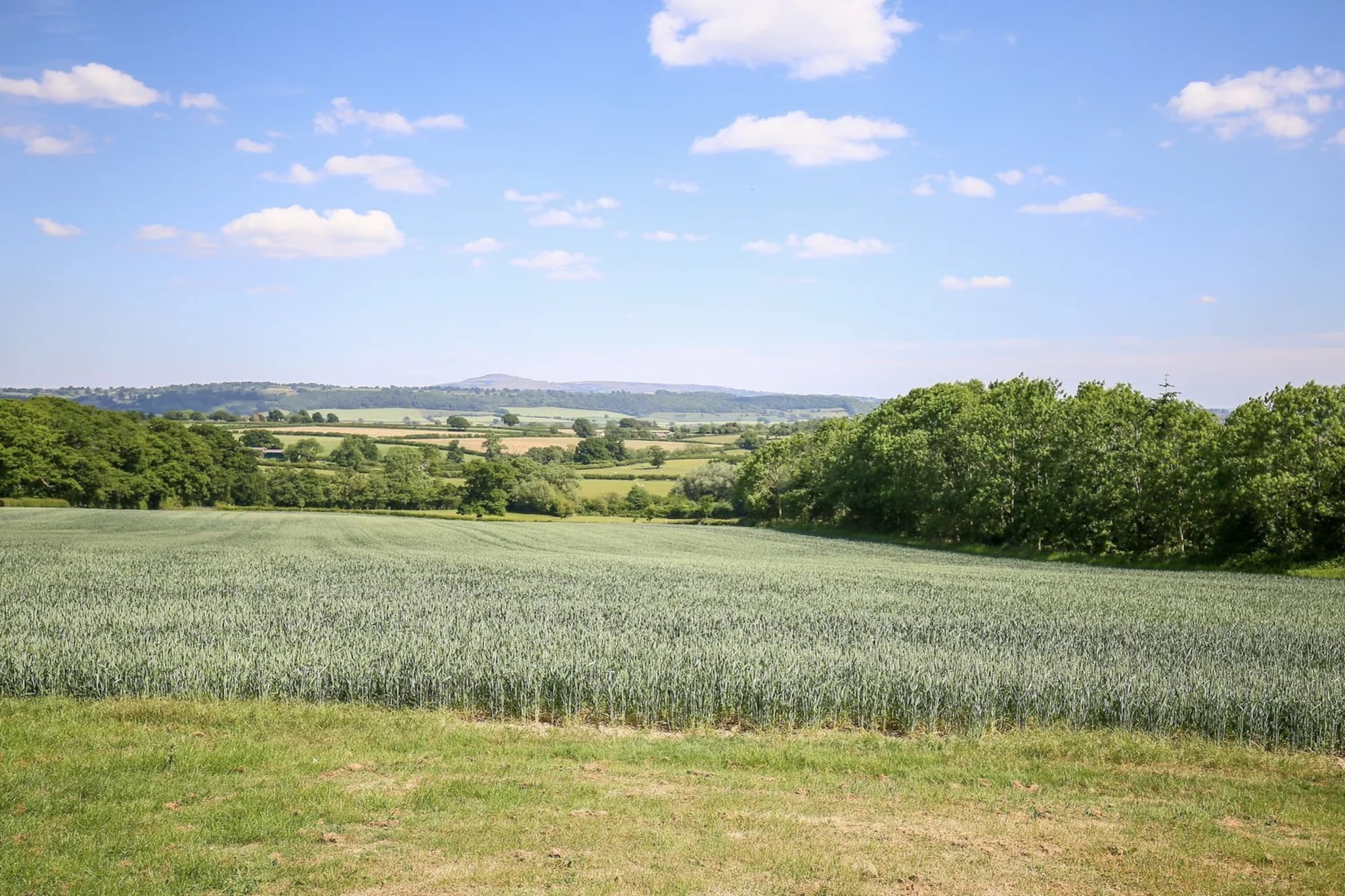The Onibury-Buitenlucht