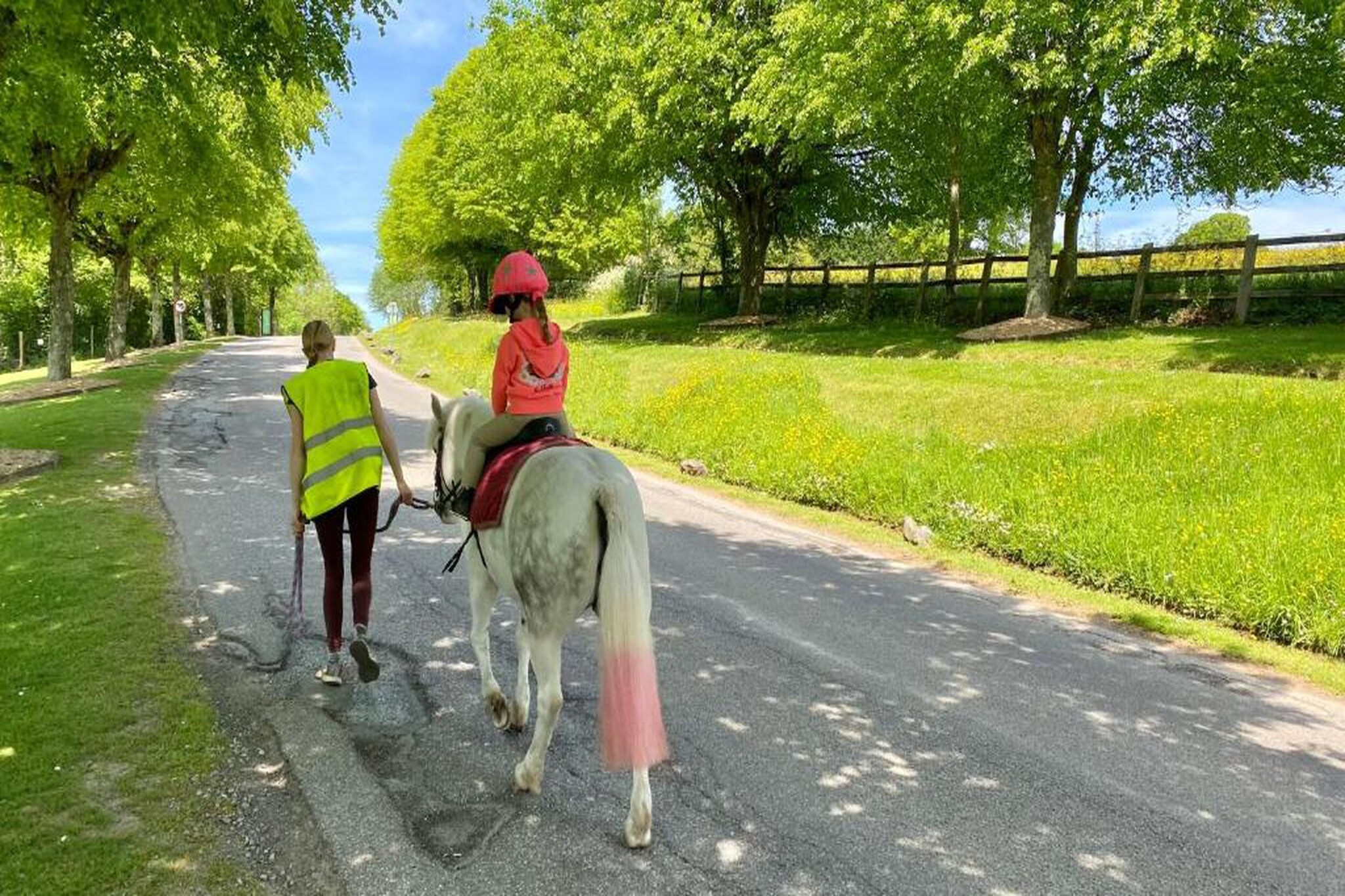 Little Dunley - Acorn Cottage-Gebieden zomer 20km