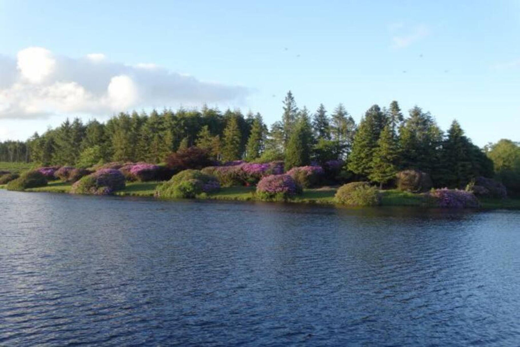 Little Dunley - Lake View-Gebieden zomer 20km