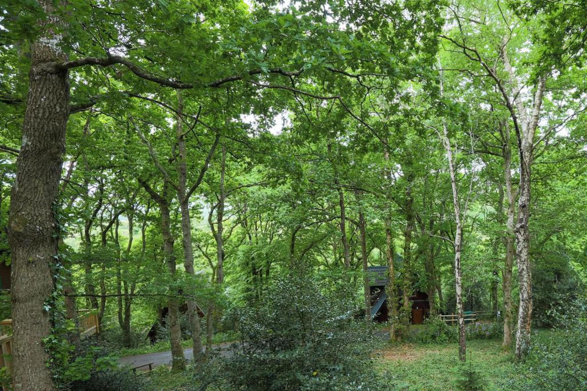 Little Dunley - Vine Lodge-Gebieden zomer 20km