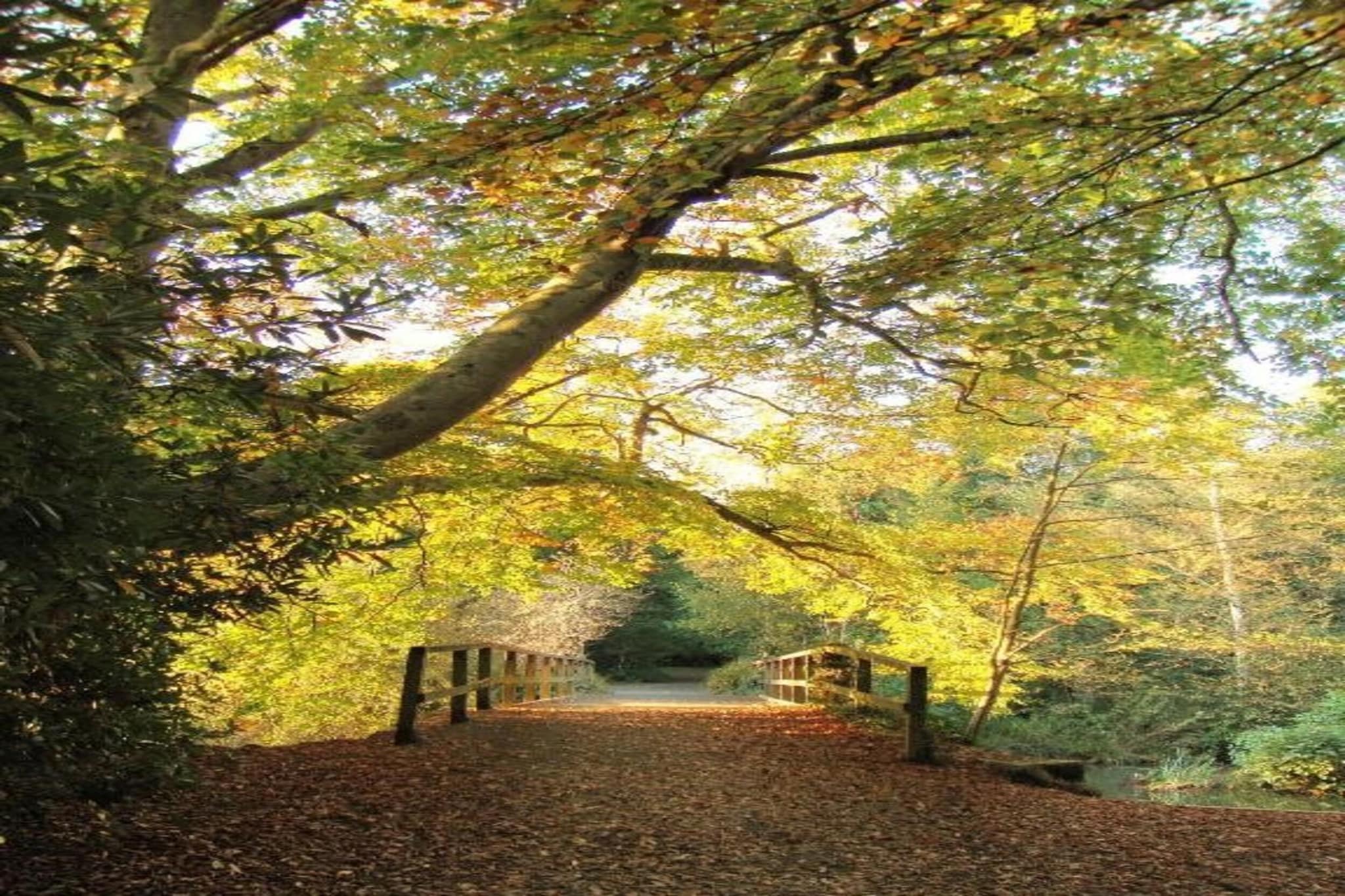 Little Dunley - Vine Lodge-Gebieden zomer 5km
