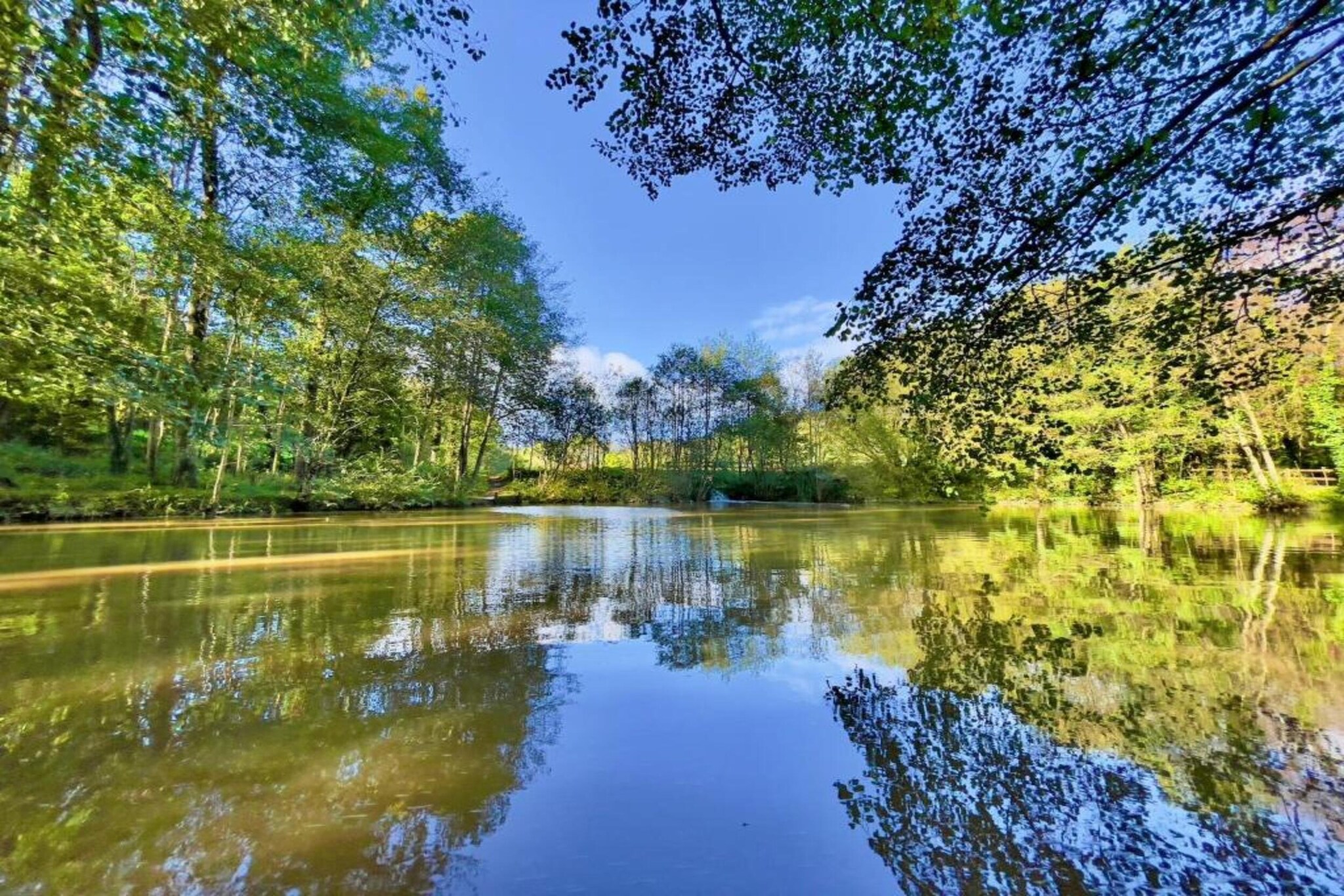 Little Dunley - Vine Lodge-Gebieden zomer 5km